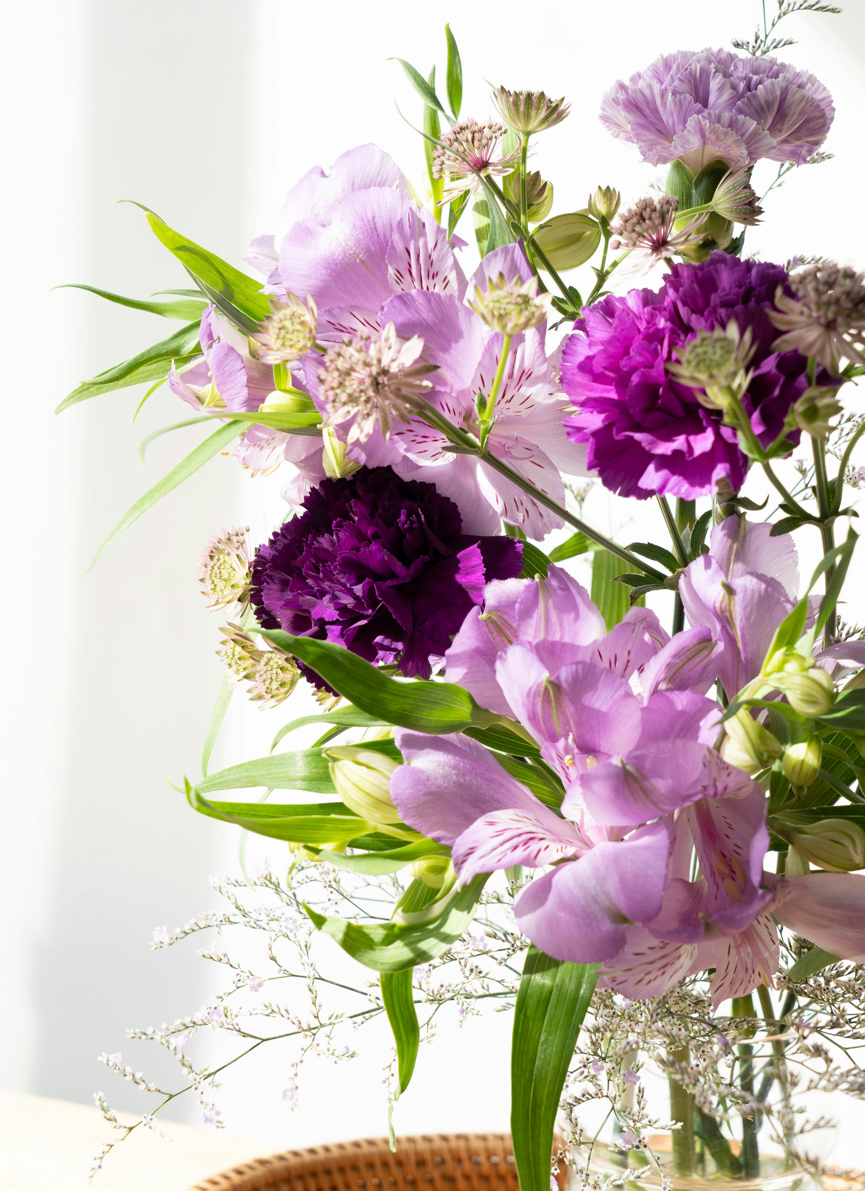 バンクシアとコットンフラワーのブーケセット♡ コットンフラワー】人気の花束・ブーケ特集 | FLOWER｜かわいい