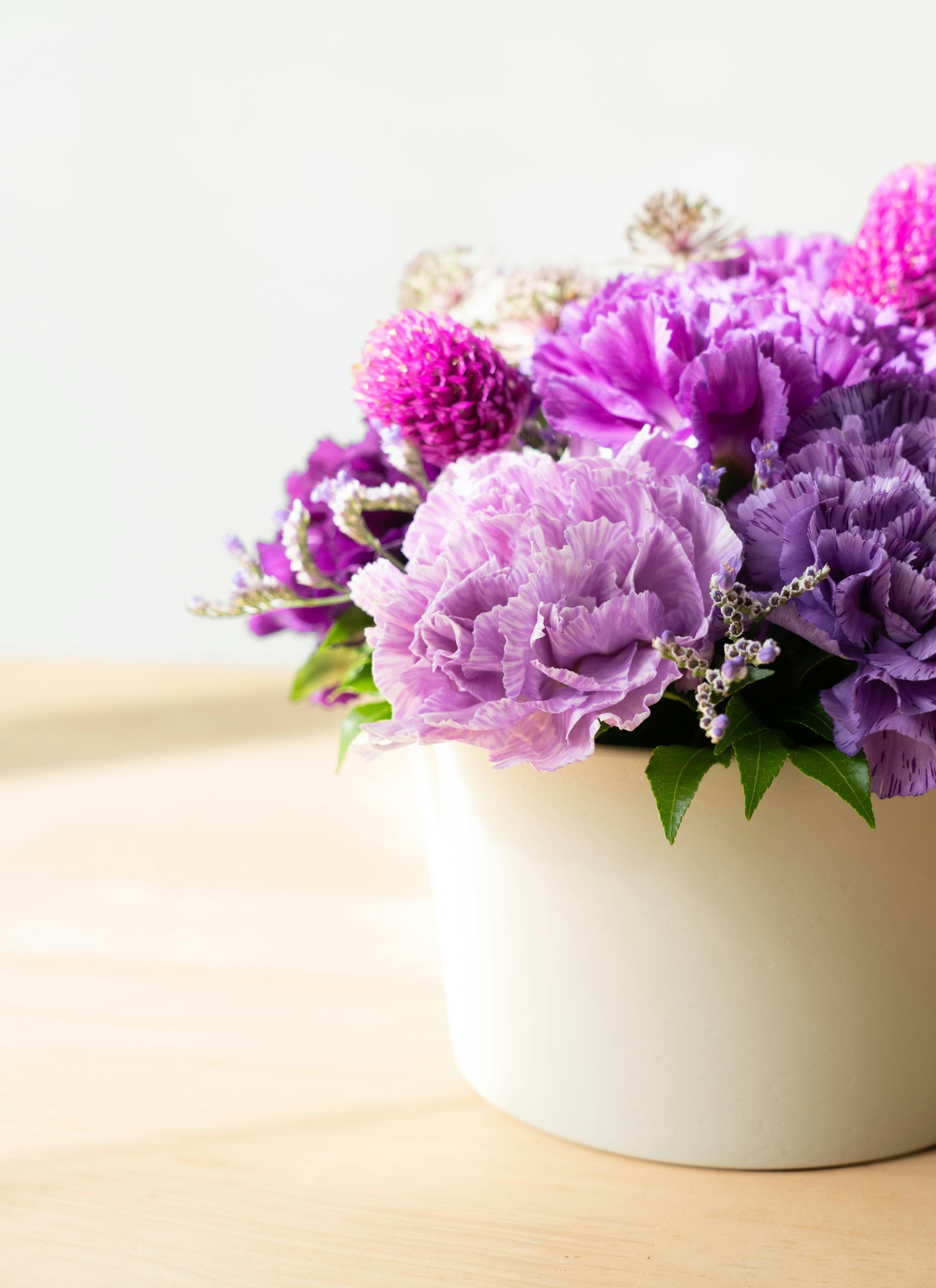 カーネーション アレンジメント ムーンダスト カップアレンジメント