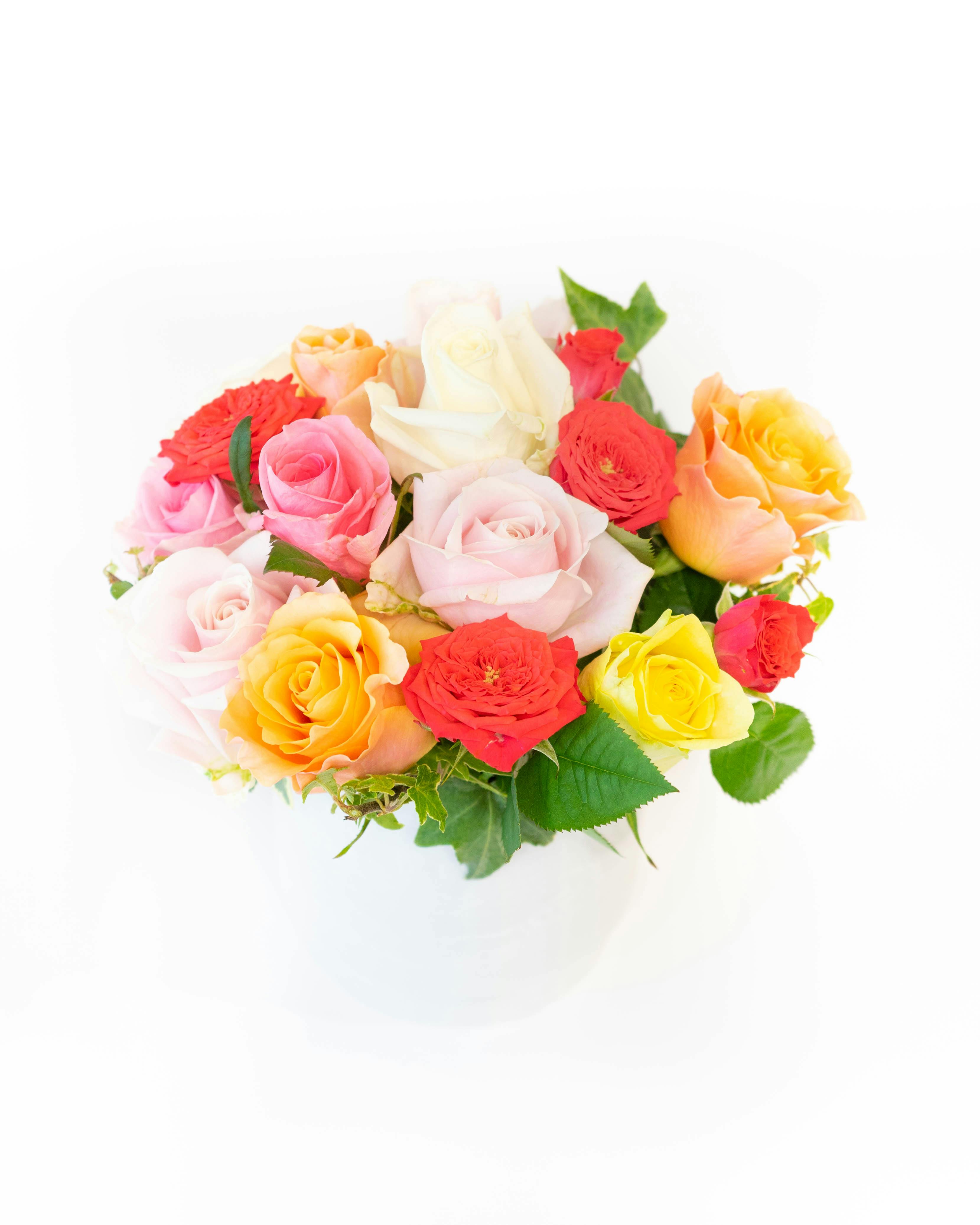 産地直送 バラ アレンジメント ミックスおまかせ ／愛知 榊原薔薇園