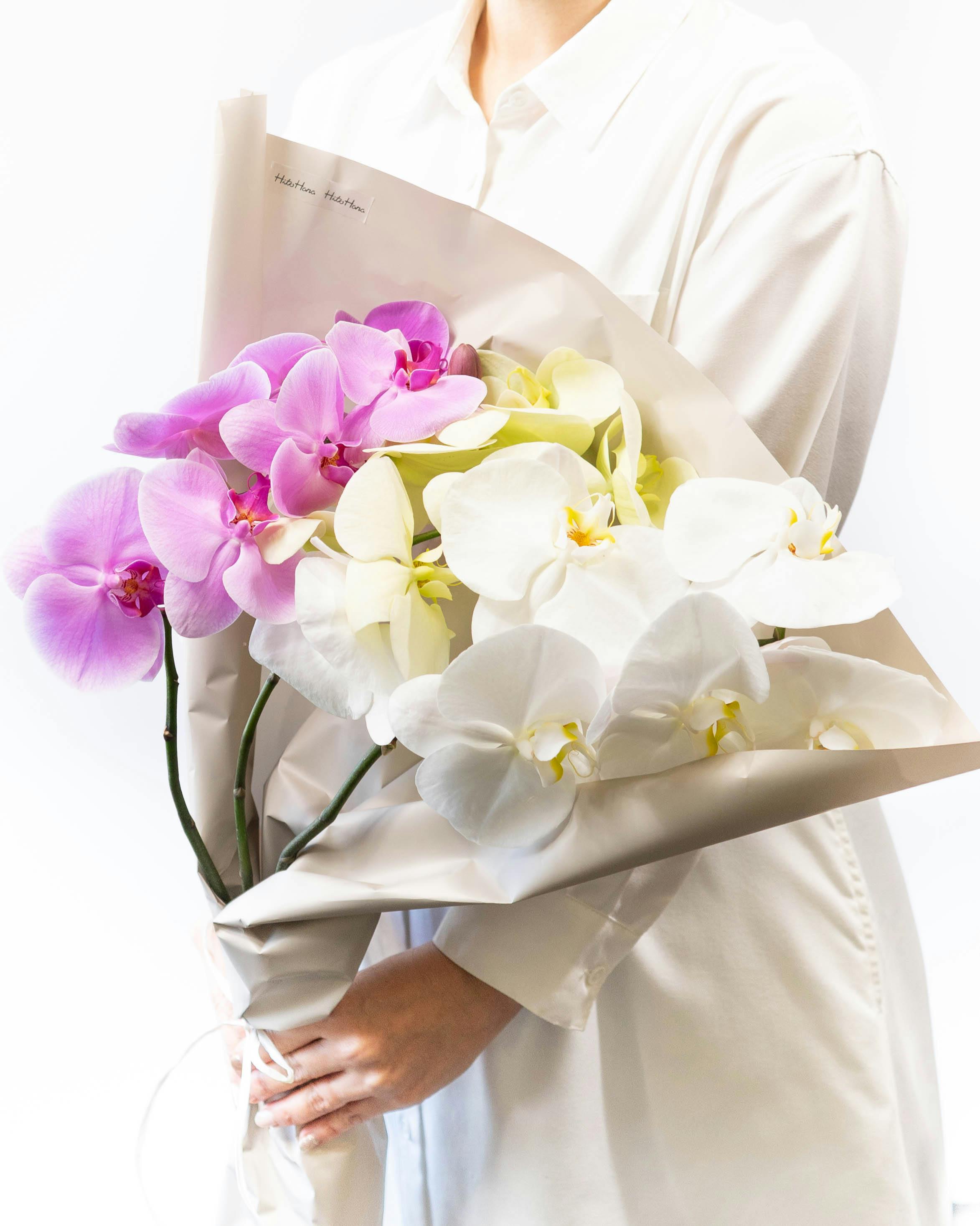 産地直送 胡蝶蘭大輪 切り花 ミックス 3本入り ギフトボックス