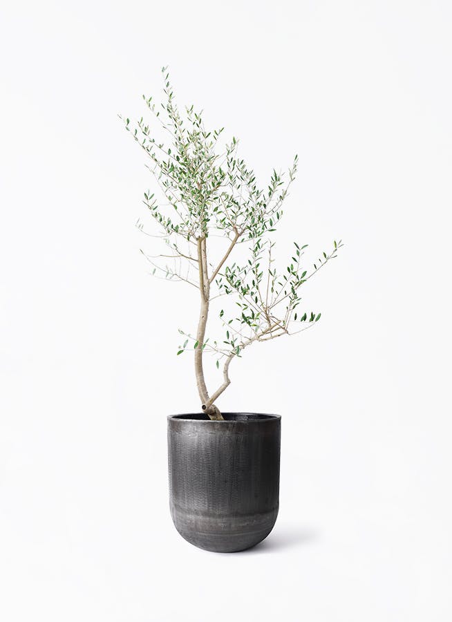 鉢カバー 黒・ブラック 10号 | 観葉植物の鉢ならHitoHana