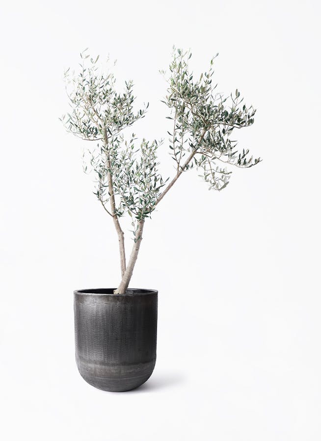 鉢カバー 黒・ブラック 10号 | 観葉植物の鉢ならHitoHana