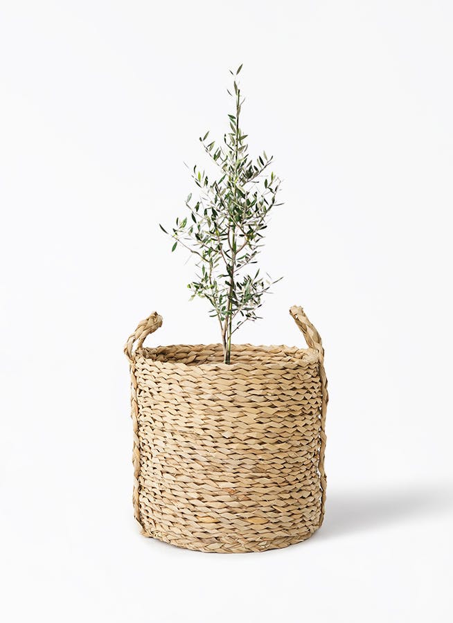 ユズハナ Dr Martens Women's Addina Flower Buckle Platform Shoes | PacSun