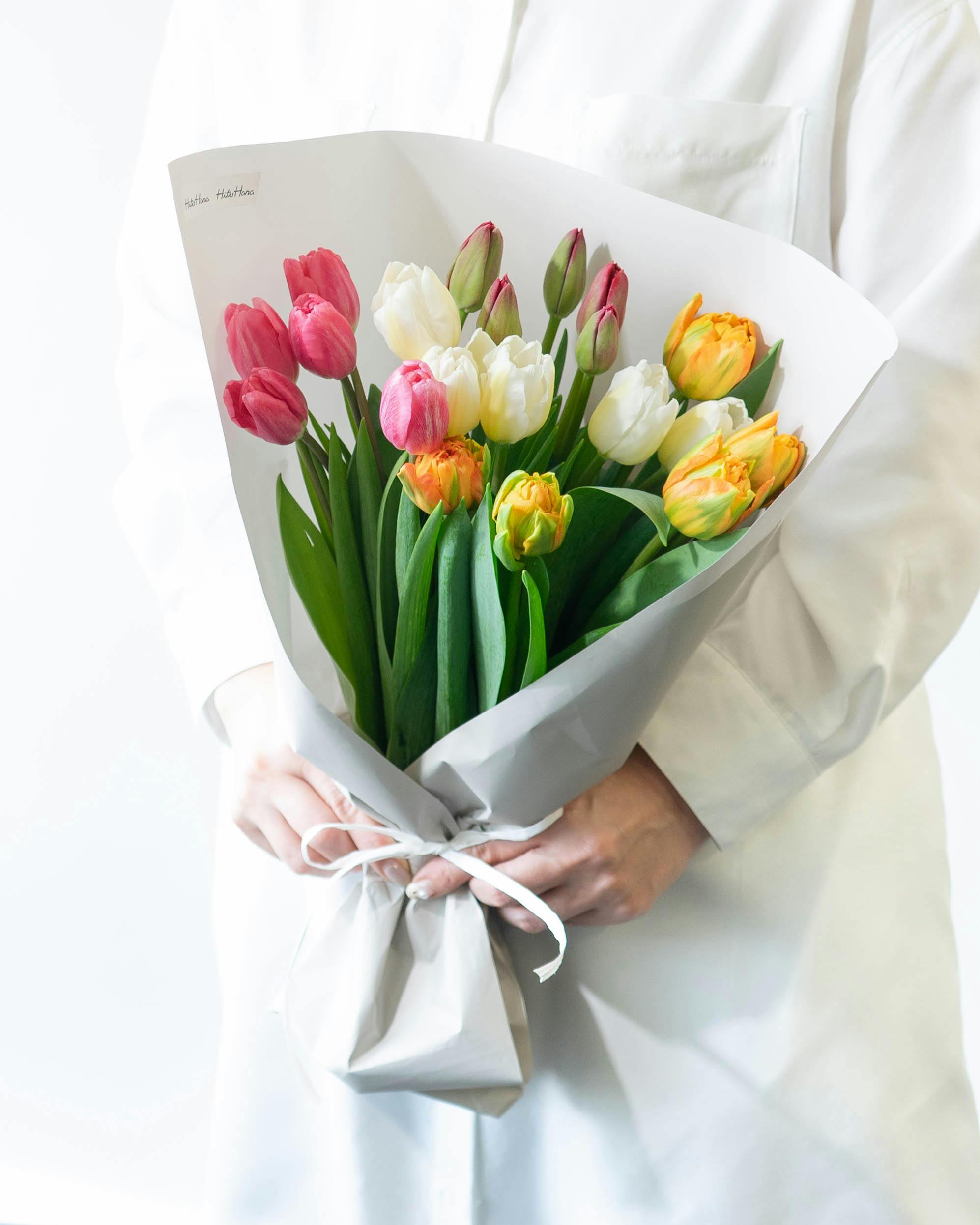 産地直送 チューリップ アソート 4品種×5本（ラッピング付き）／新潟