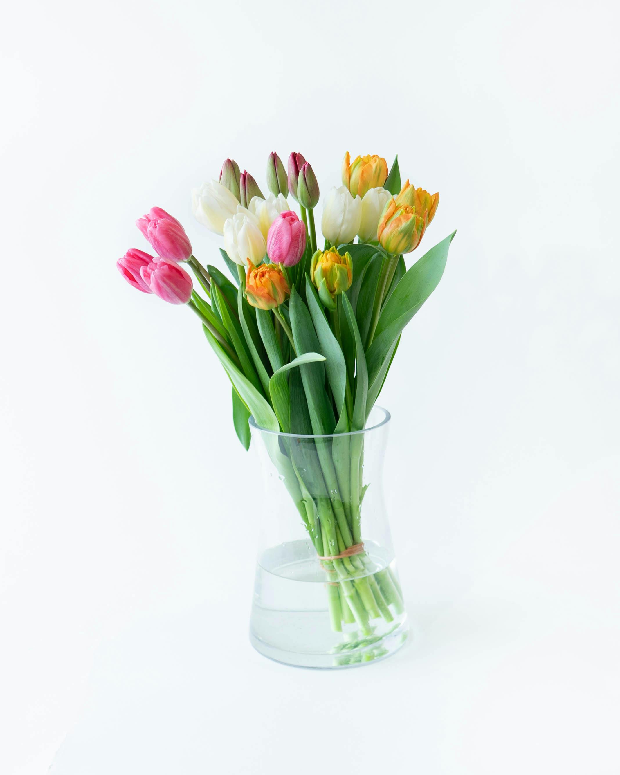 産地直送 チューリップ アソート 4品種×5本（ラッピング付き）／新潟