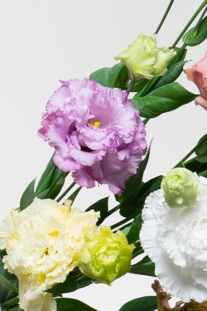 トルコキキョウの花束・アレンジメント | フラワーギフトなら