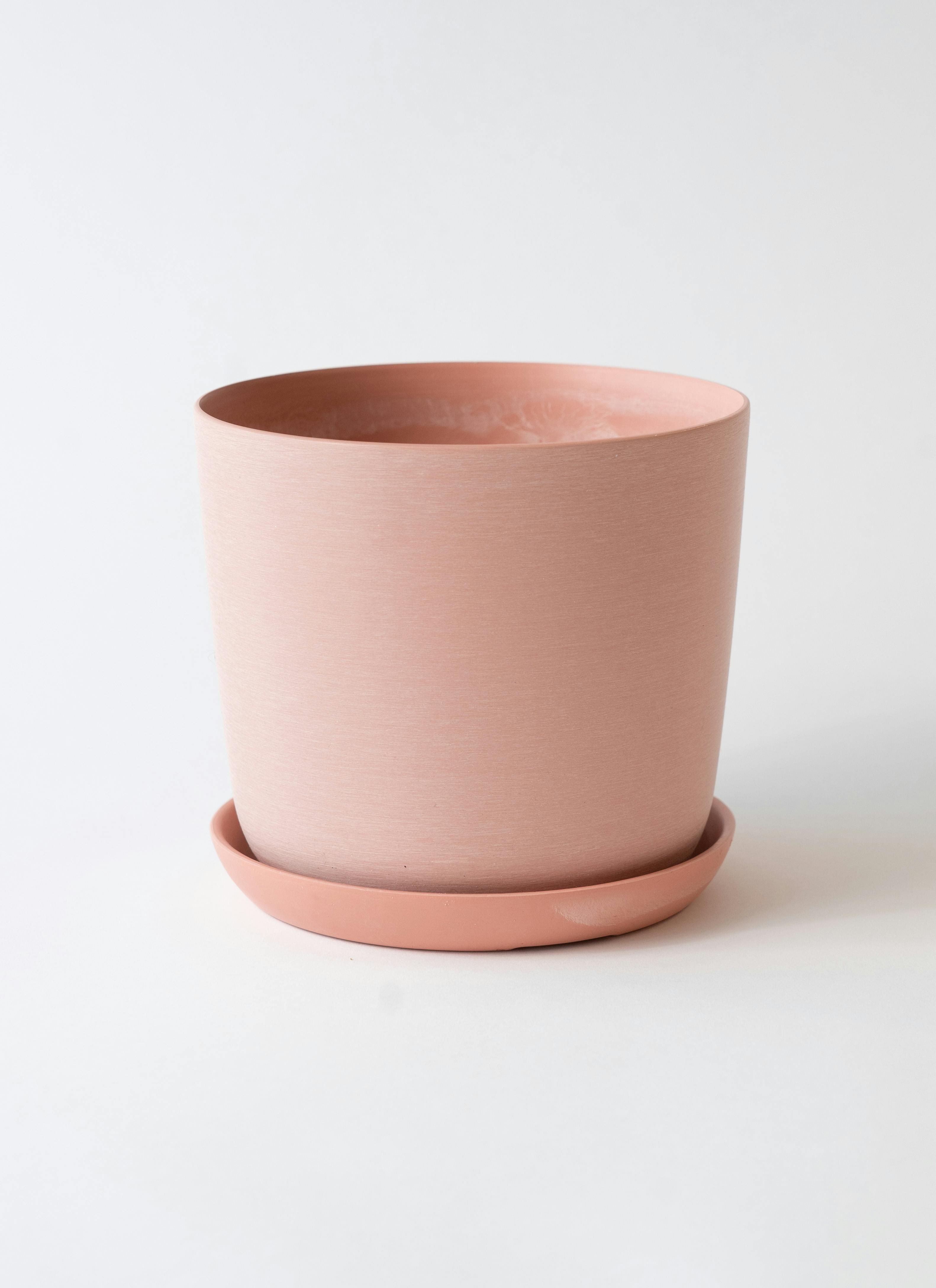 化粧鉢 SPICE of Life 植木鉢 レリーフ プランター インセクト 2号 セメント