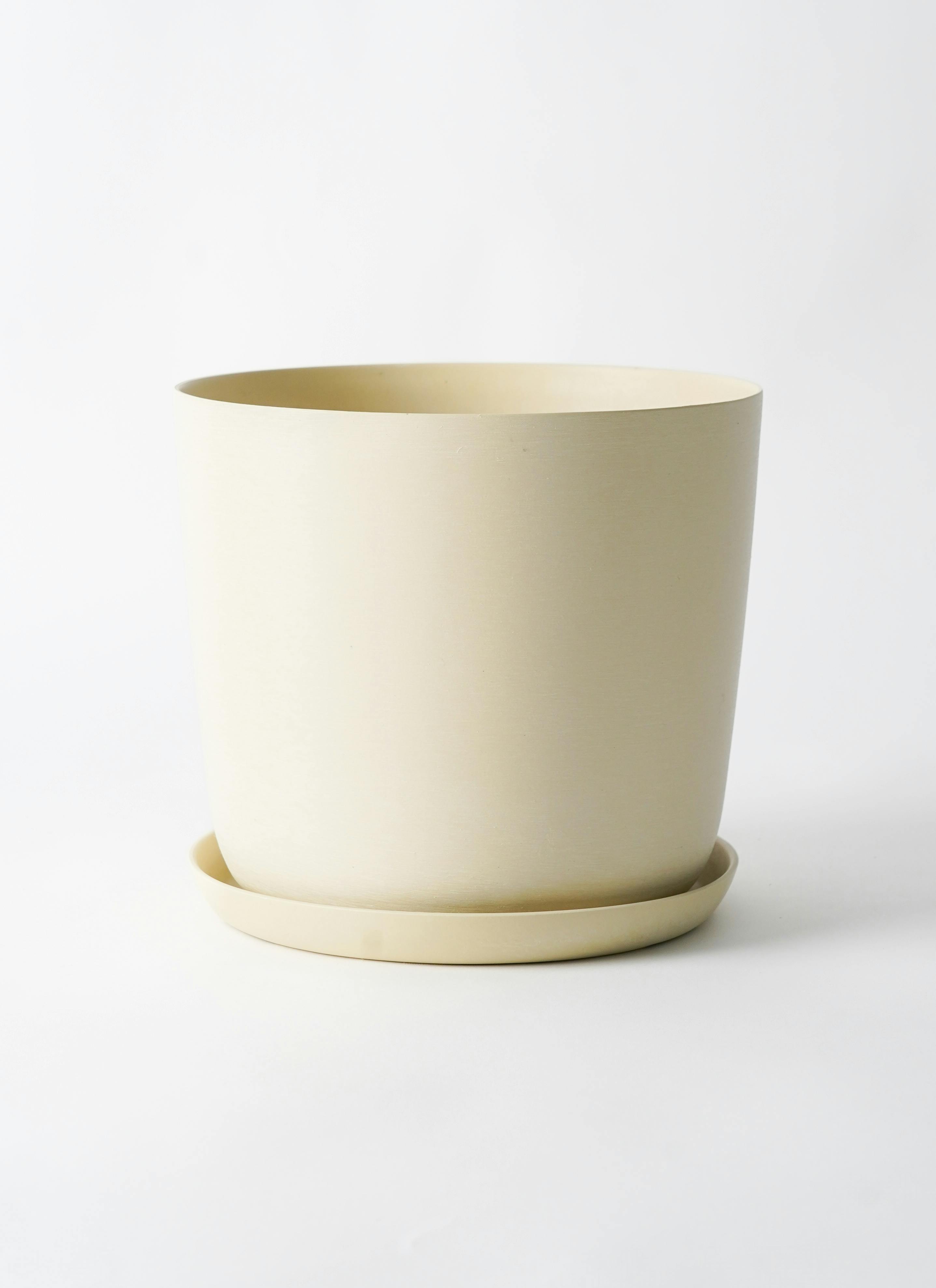 観葉植物 エバーフレッシュ 6号 プラスチック鉢 エステリ ベージュ