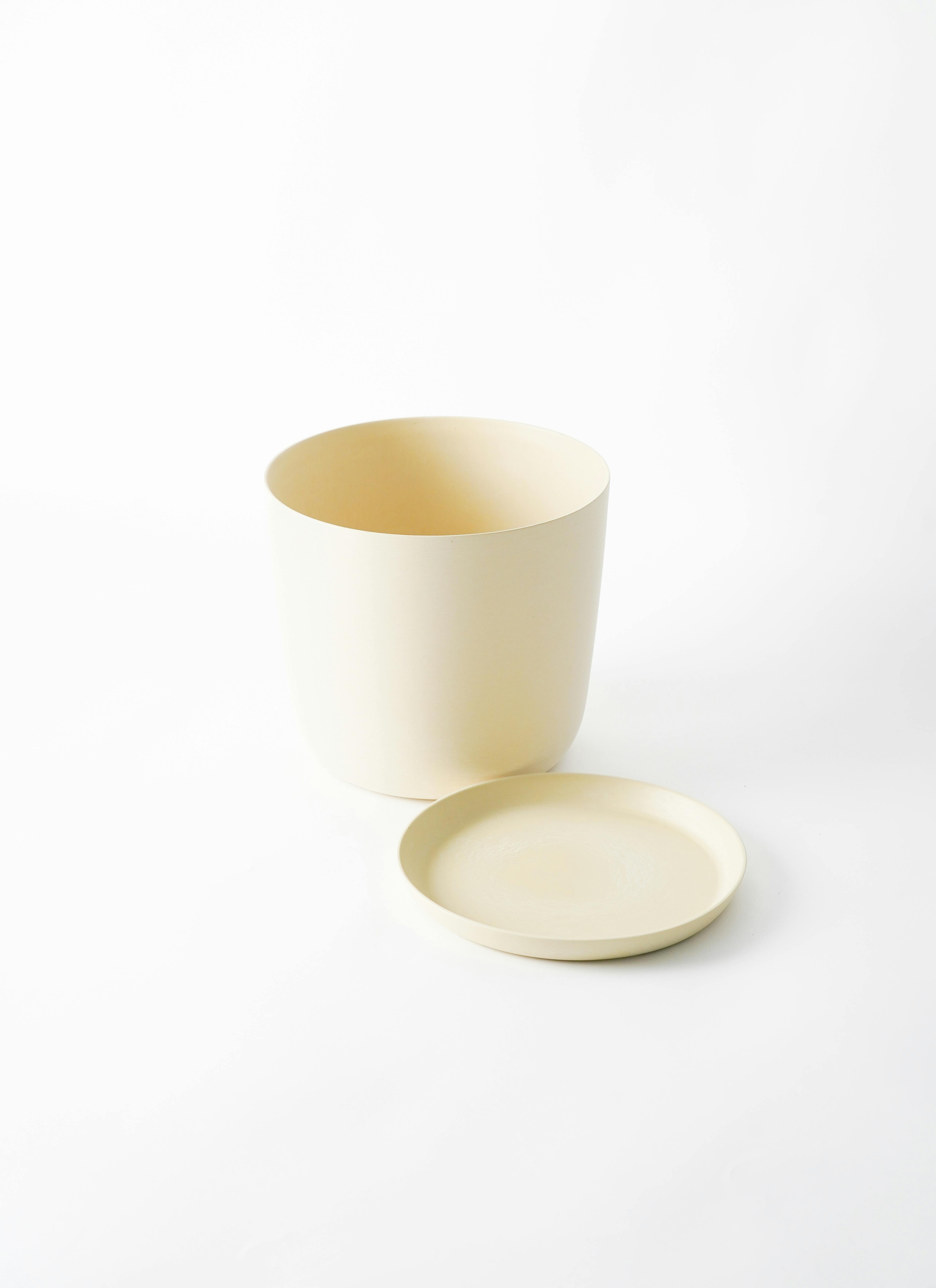 観葉植物 エバーフレッシュ 6号 プラスチック鉢 エステリ ベージュ
