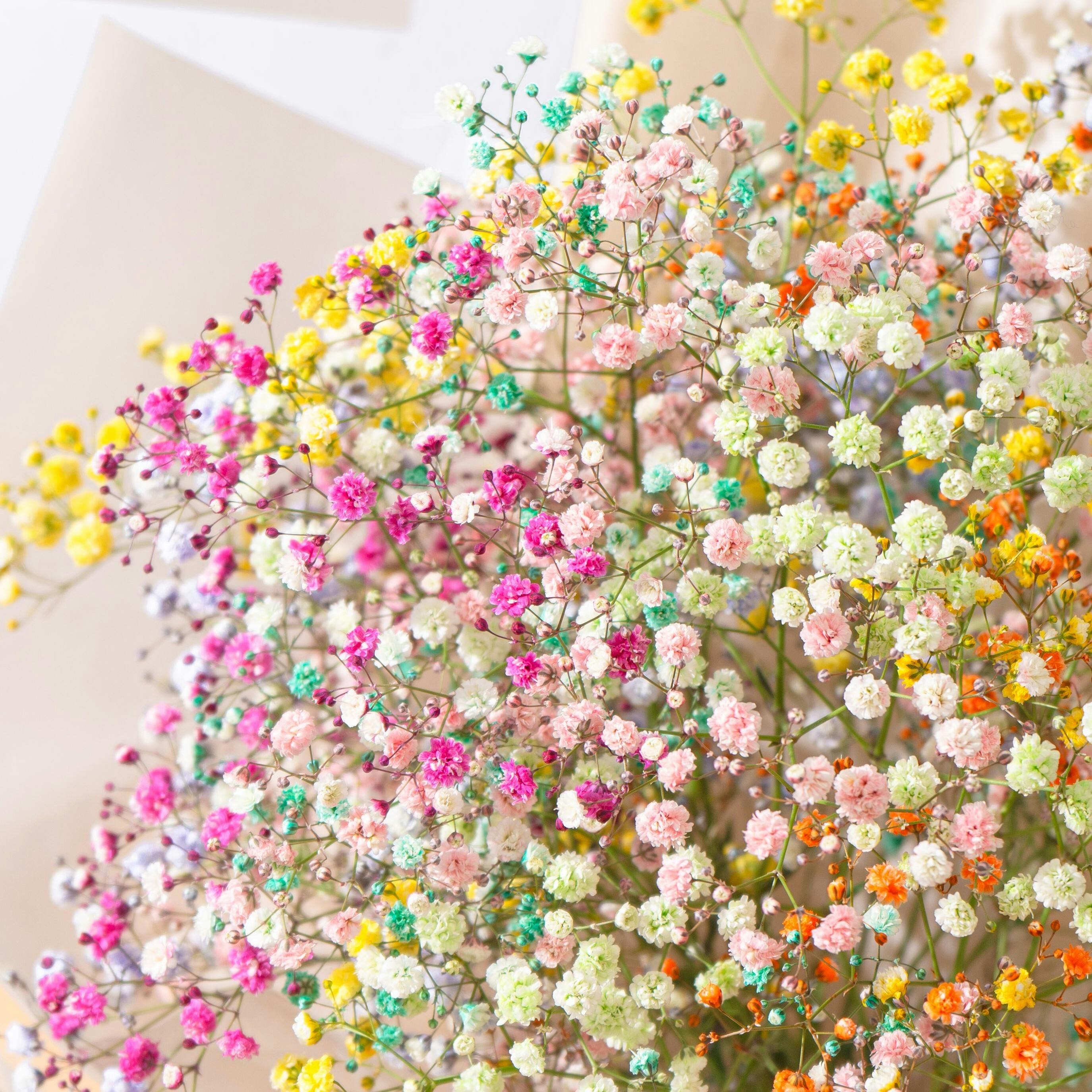 かすみ草（カスミソウ）の花束・ブーケ | フラワーギフトなら