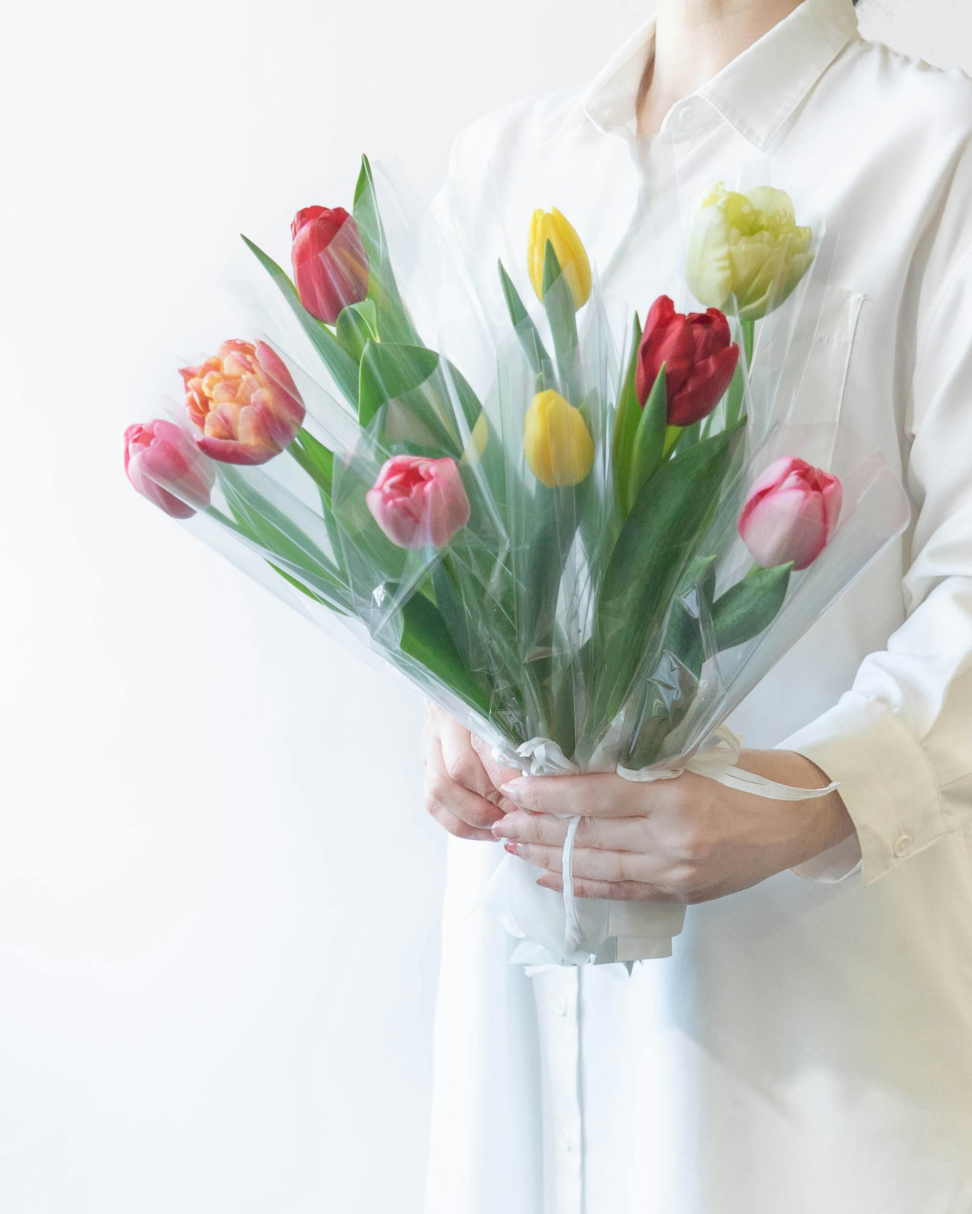 産地直送 チューリップ 1輪 花束 ミックス（50本入り）／富山 富山県