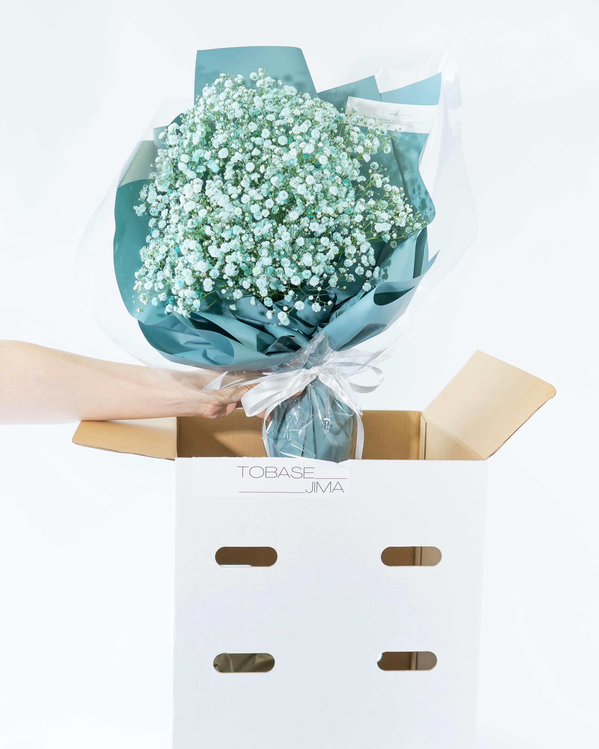 産地直送 かすみ草 花束 ティファニーブルー レギュラーサイズ／熊本