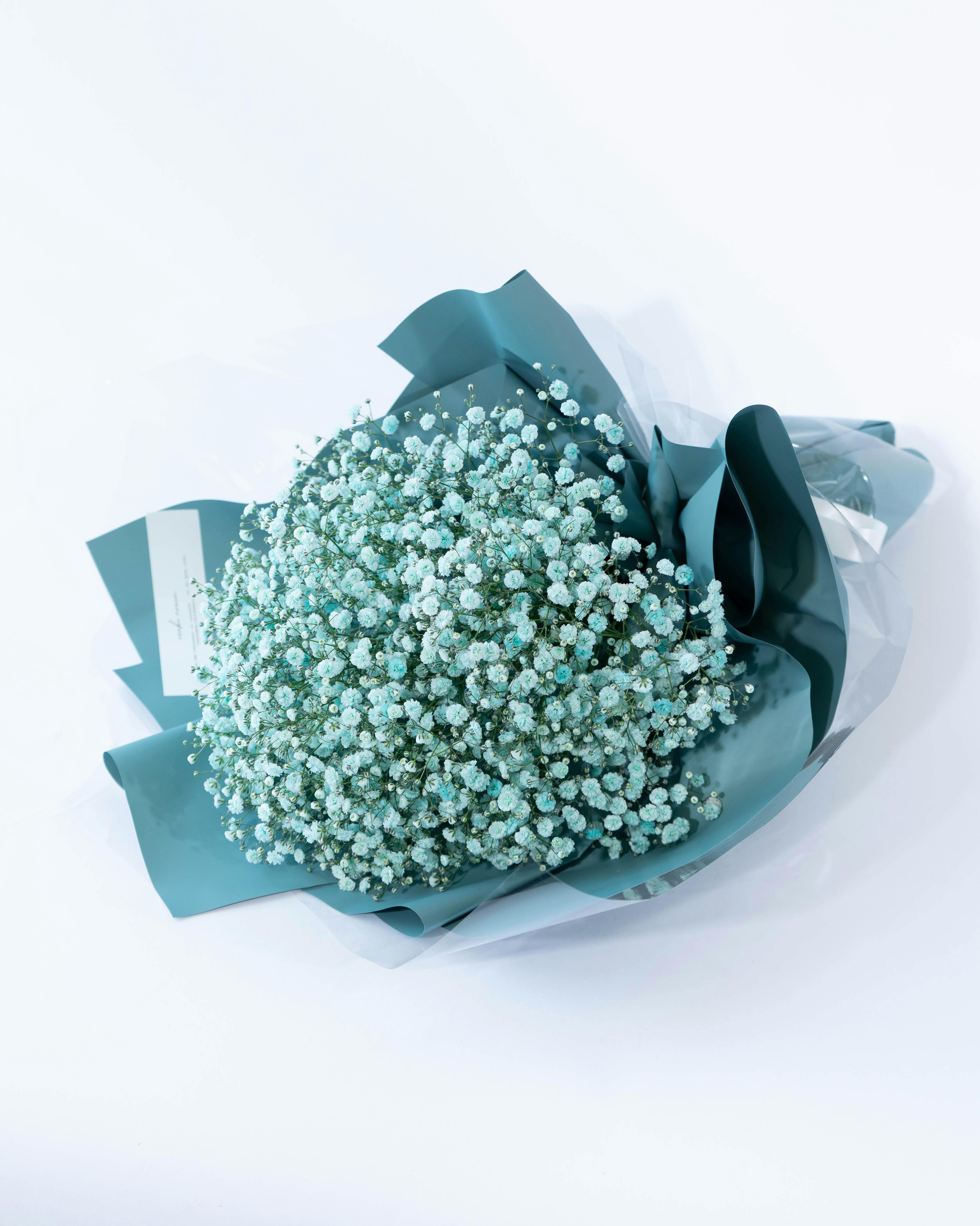 産地直送 かすみ草 花束 ティファニーブルー レギュラーサイズ／熊本