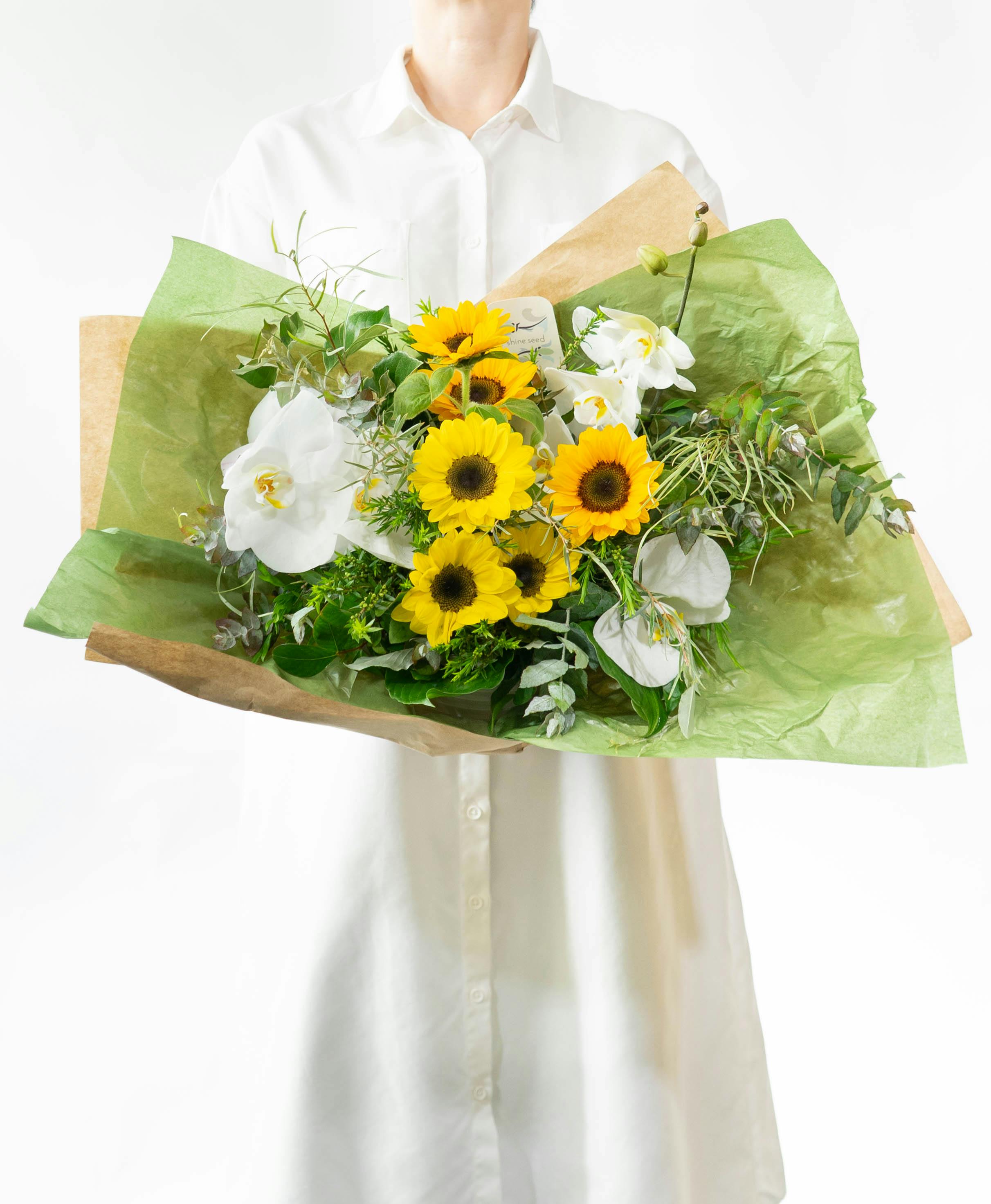 産地直送 胡蝶蘭 ひまわり アレンジメント M／千葉 shine seed