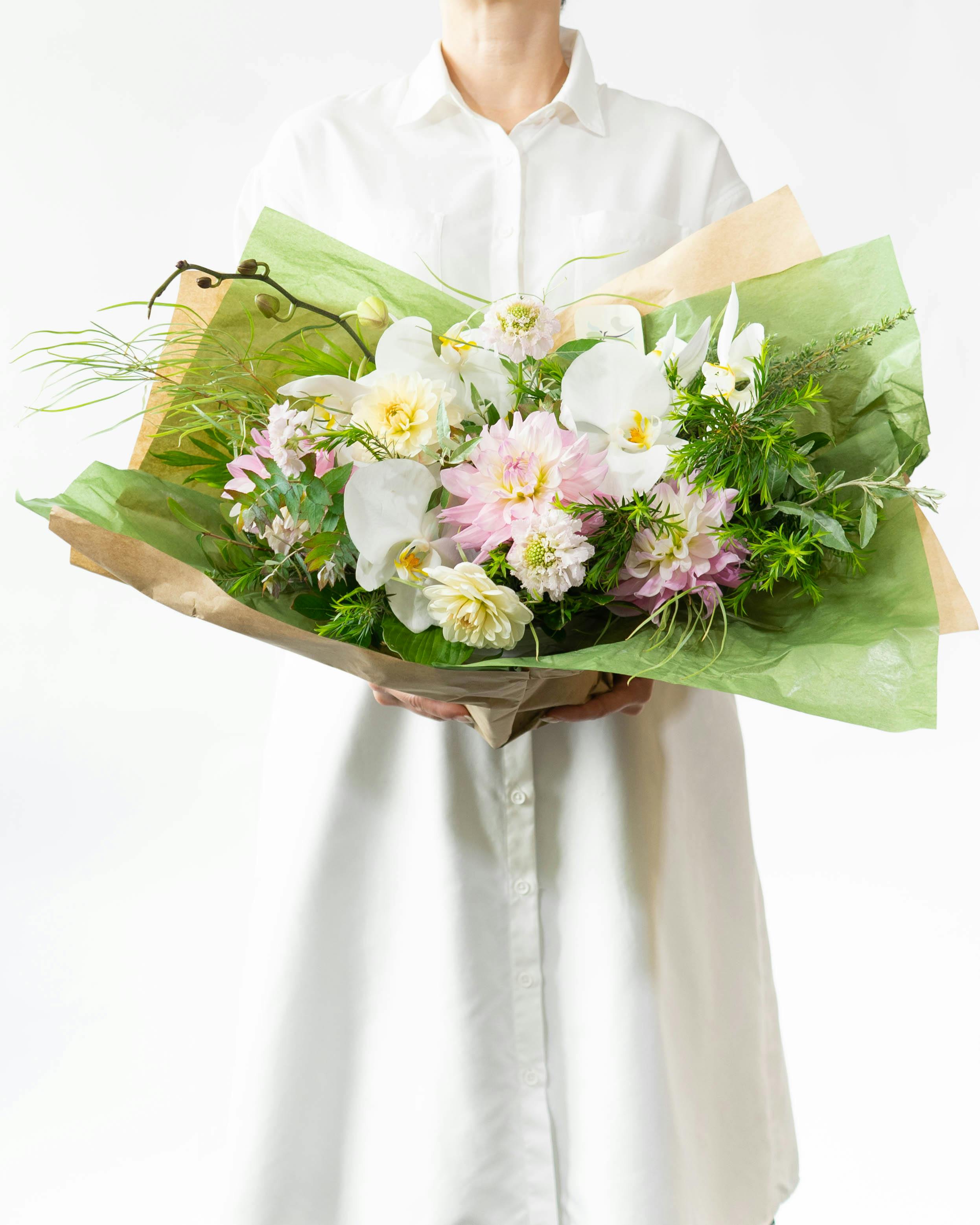産地直送 胡蝶蘭 ダリア アレンジメント ピンク M／千葉 shine seed