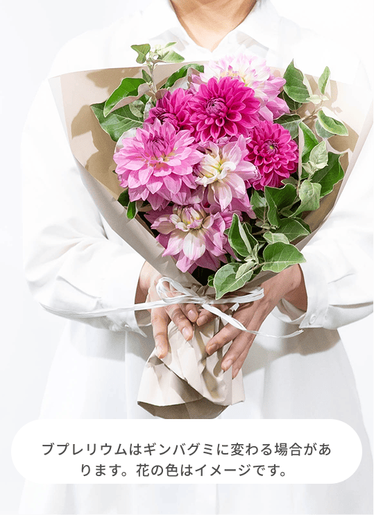 しめ縄リース　ピンク系　ダリア NORIFLOWER WEBSHOP / ☆お正月飾り☆しめ縄飾り 赤しめ縄 ダリアピンク