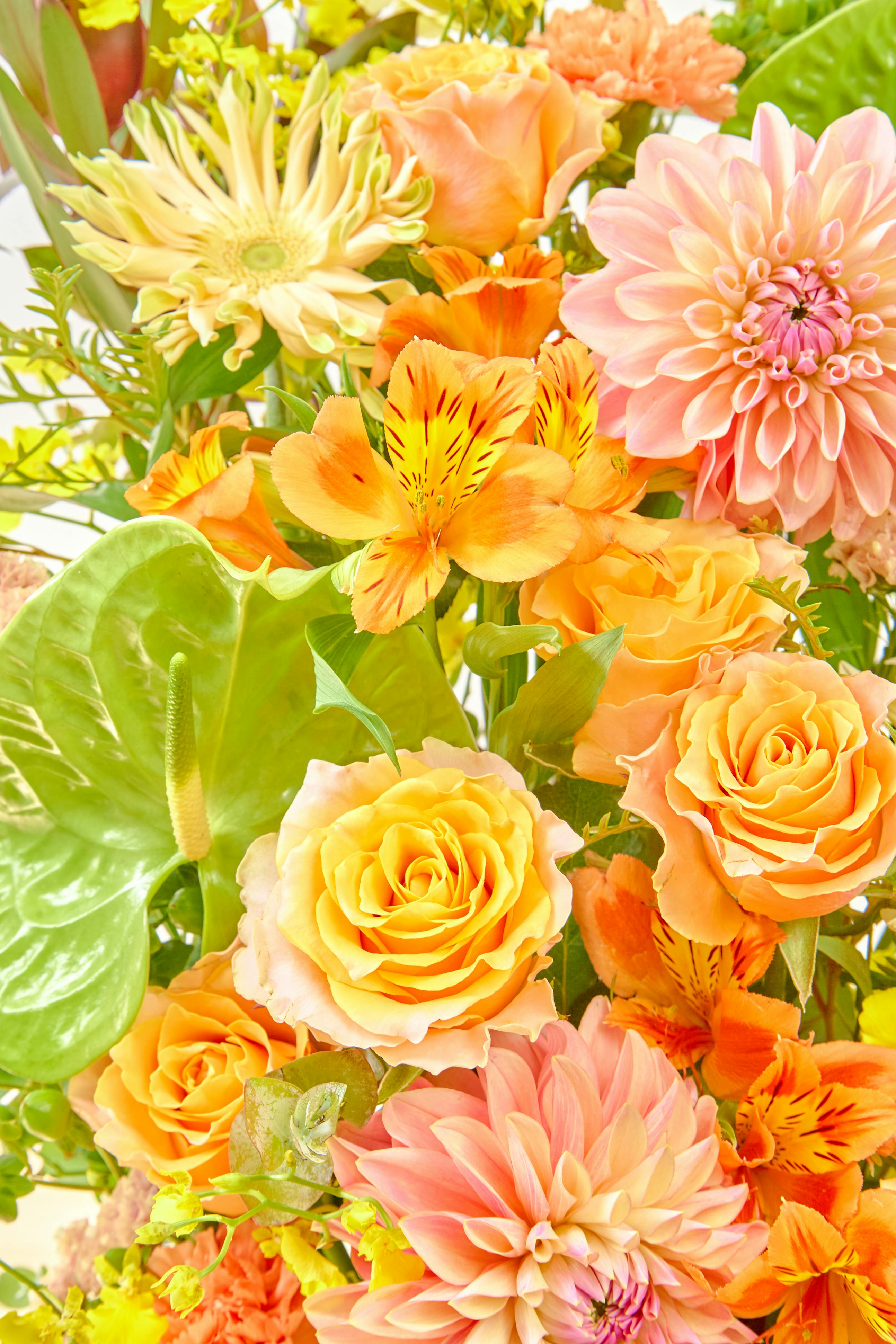 お祝い花 季節の豪華アレンジメント イエロー・オレンジ系 22,000円
