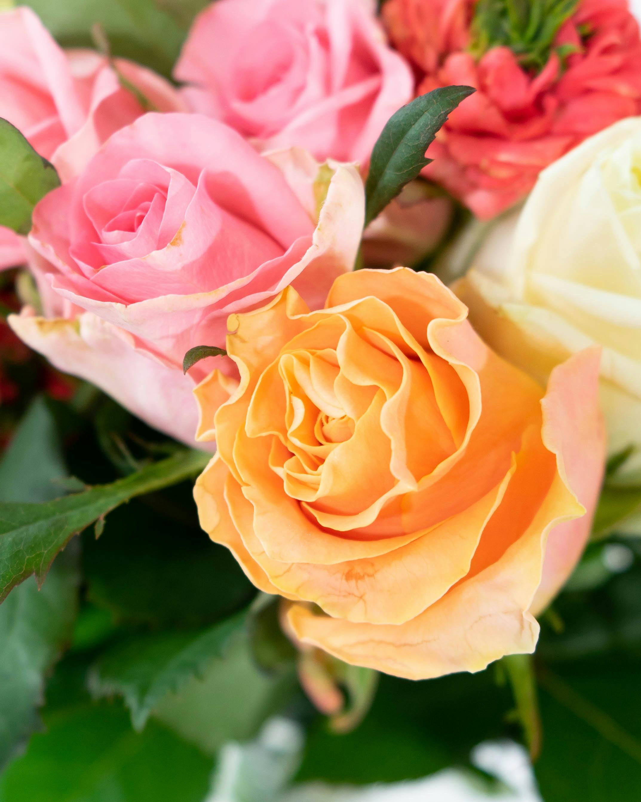 産地直送 バラ ご自宅用花束 おまかせ（10本入り）／愛知 榊原