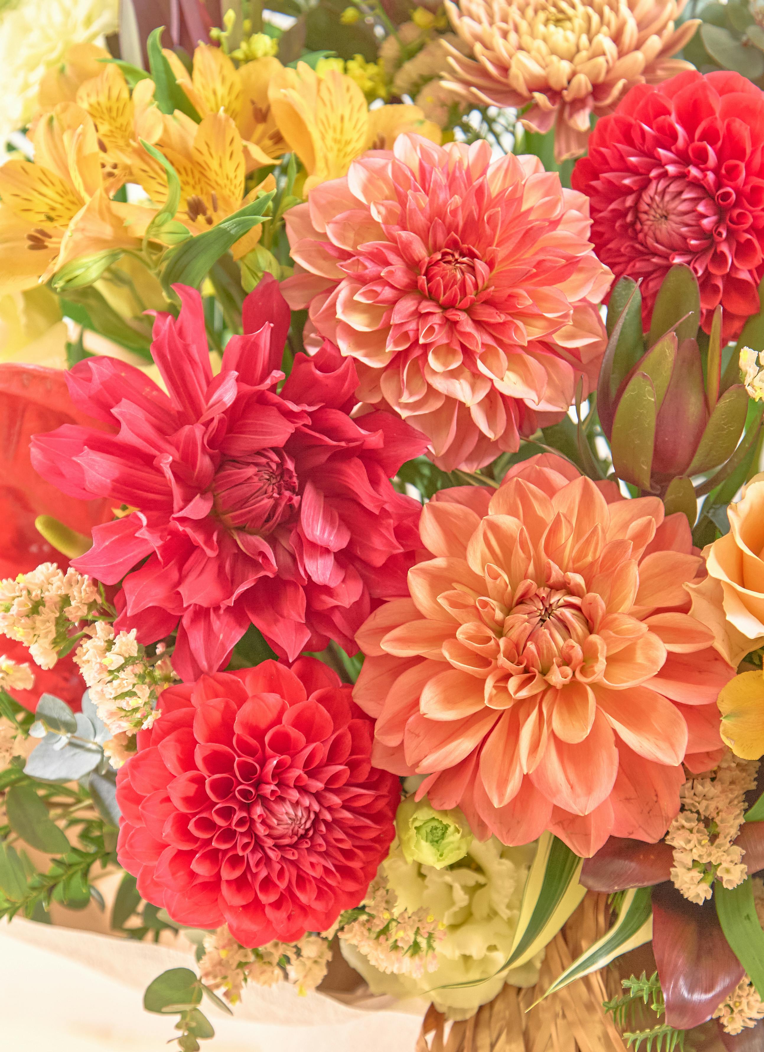 お祝い花 季節の豪華アレンジメント フローリストにおまかせ 22,000円