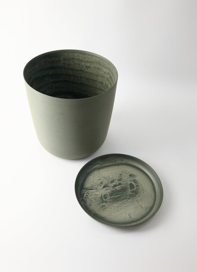 観葉植物 オリーブの木 10号 ピクアル エステリ グリーン 付き / 小倉