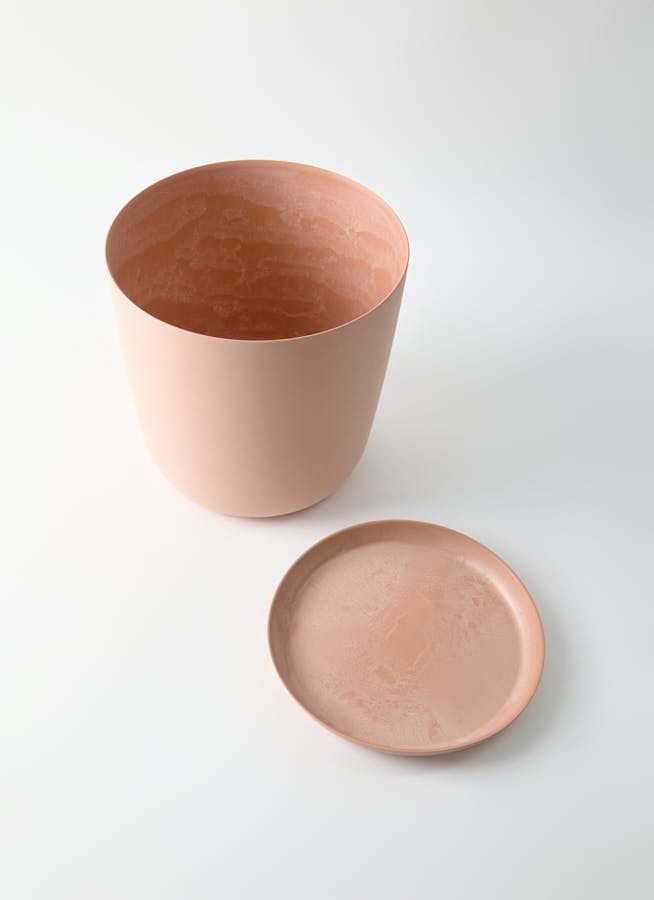 観葉植物 アロカシア 8号 オドラ（クワズイモ） エステリ ピンク