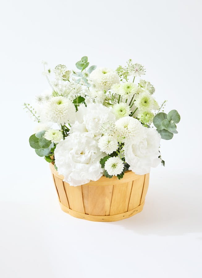 マム（菊）のアレンジメント | フラワーギフトならHitoHana（ひとはな）