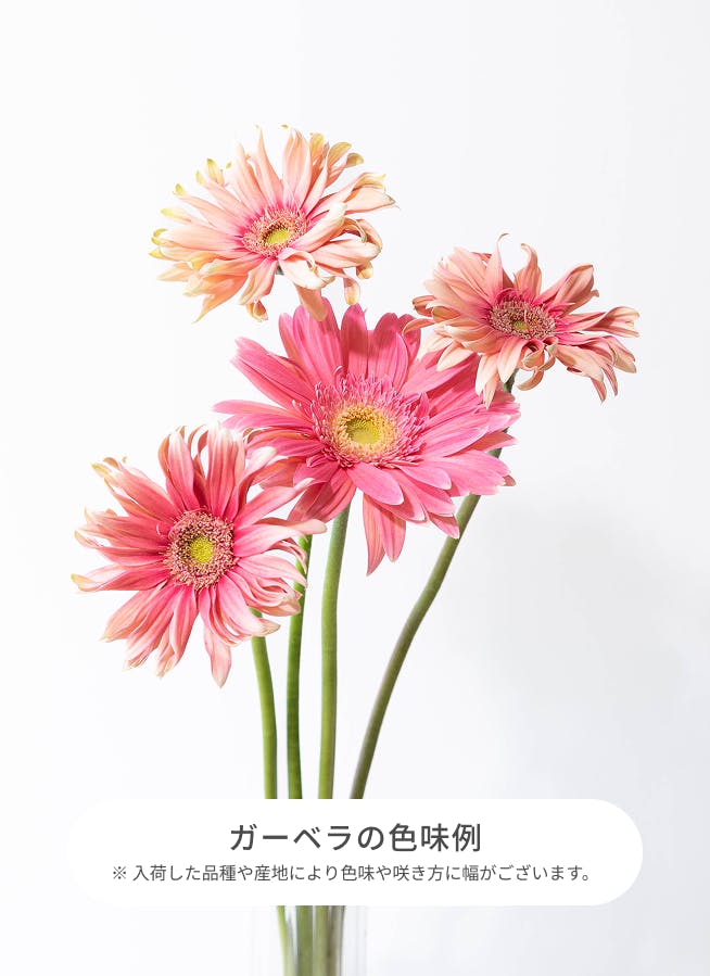 ガーベラリース　にょにょ様オーダー 　　　　　　　　　　　　　　専用ページ ガーベラリース にょにょ様オーダー 専用ページ ガーベラリース