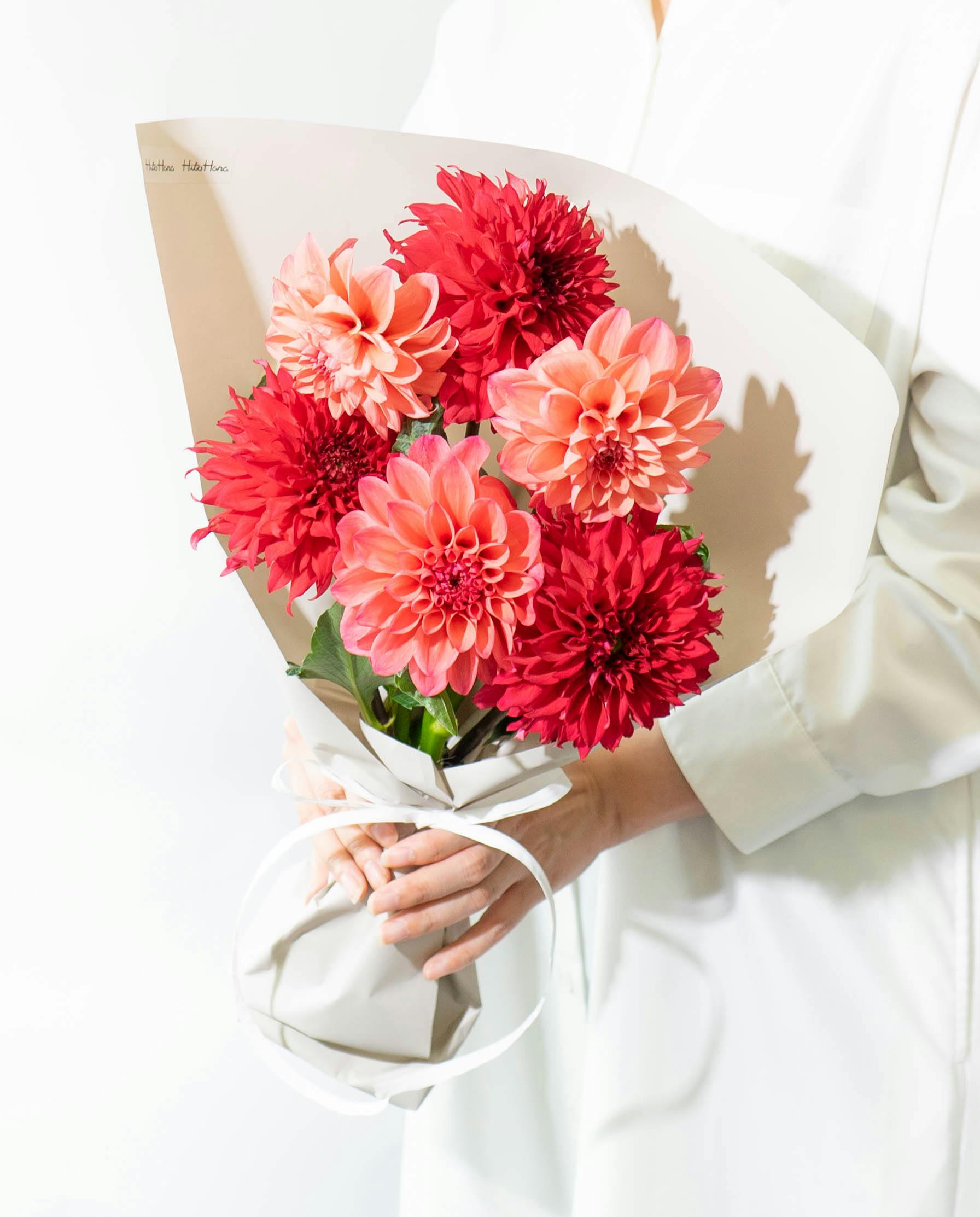 産地直送 ダリア 花束 レッドミックス（6本入り）／山形 THeFarmからお