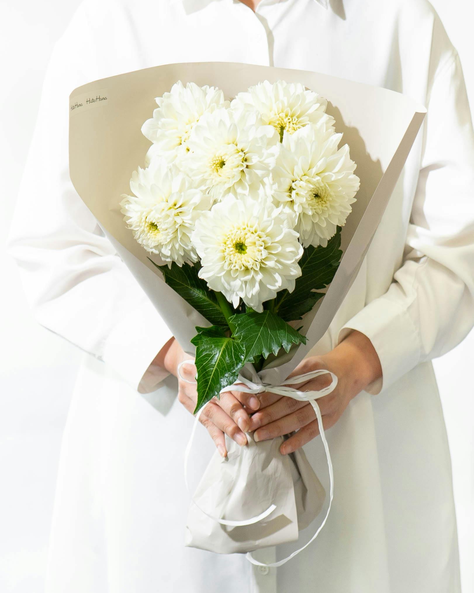 ダリアの花束・ブーケ | 花束ならHitoHana（ひとはな）