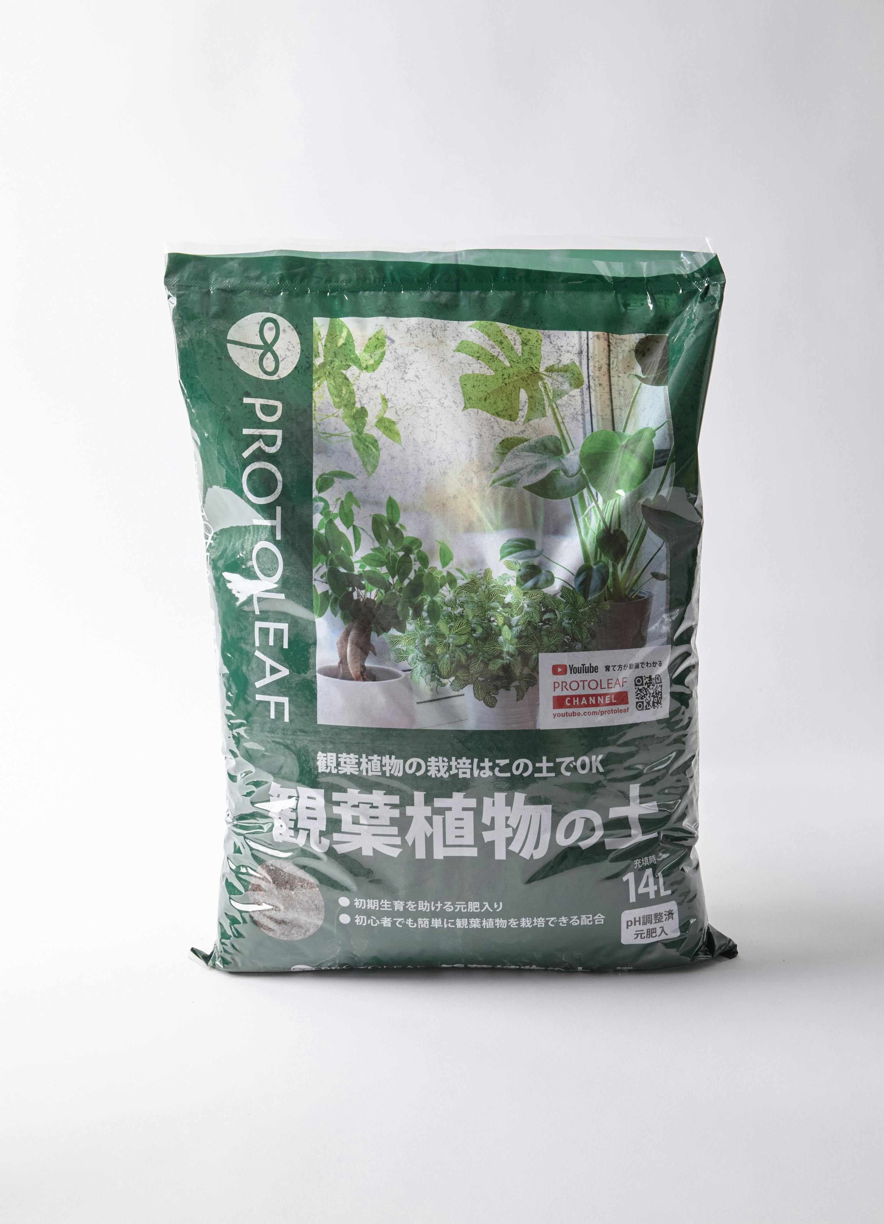 2,999円以下の観葉植物 | 通販サイトHitoHana（ひとはな）