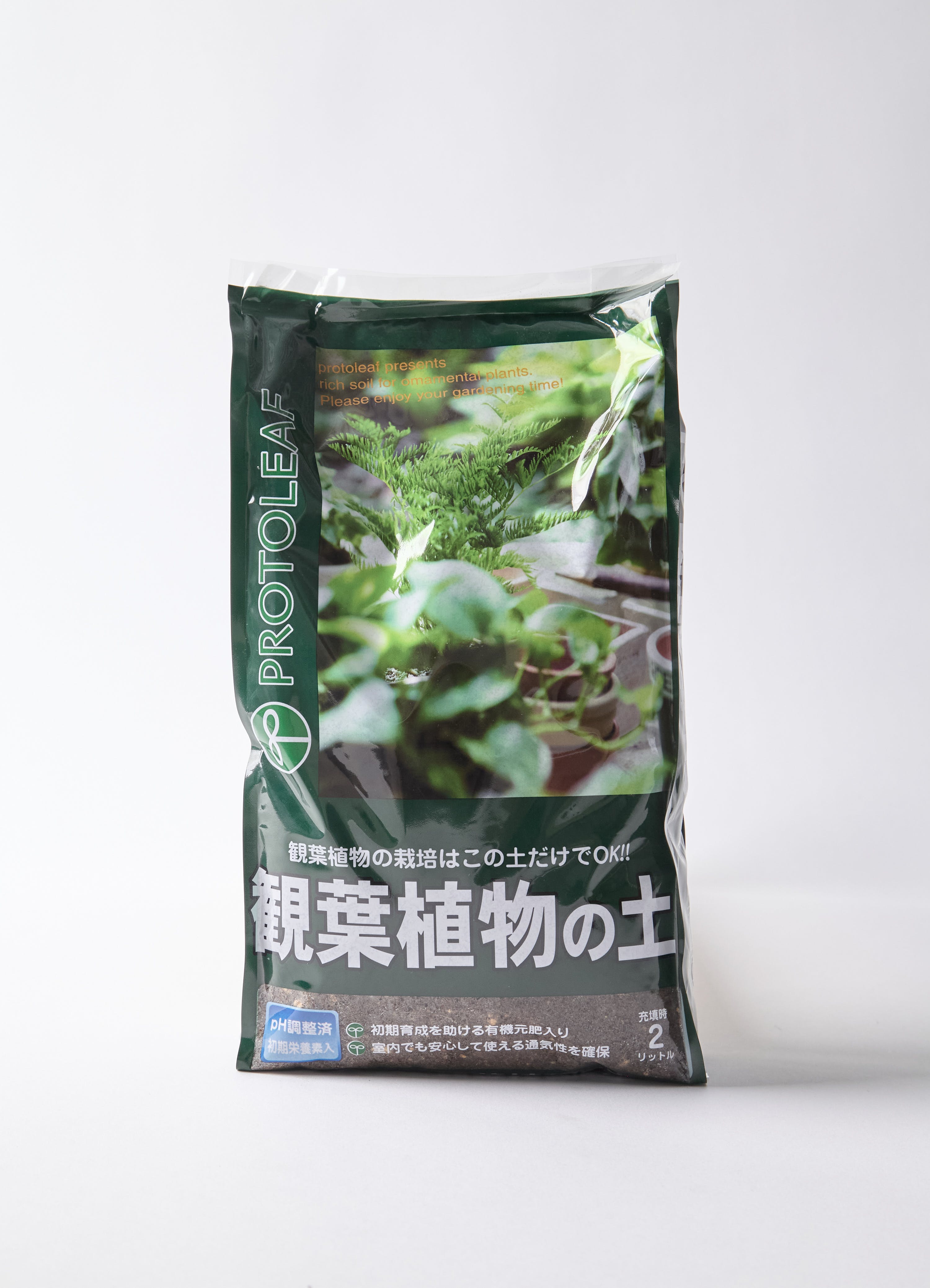 2,999円以下の観葉植物 | 通販サイトHitoHana（ひとはな）