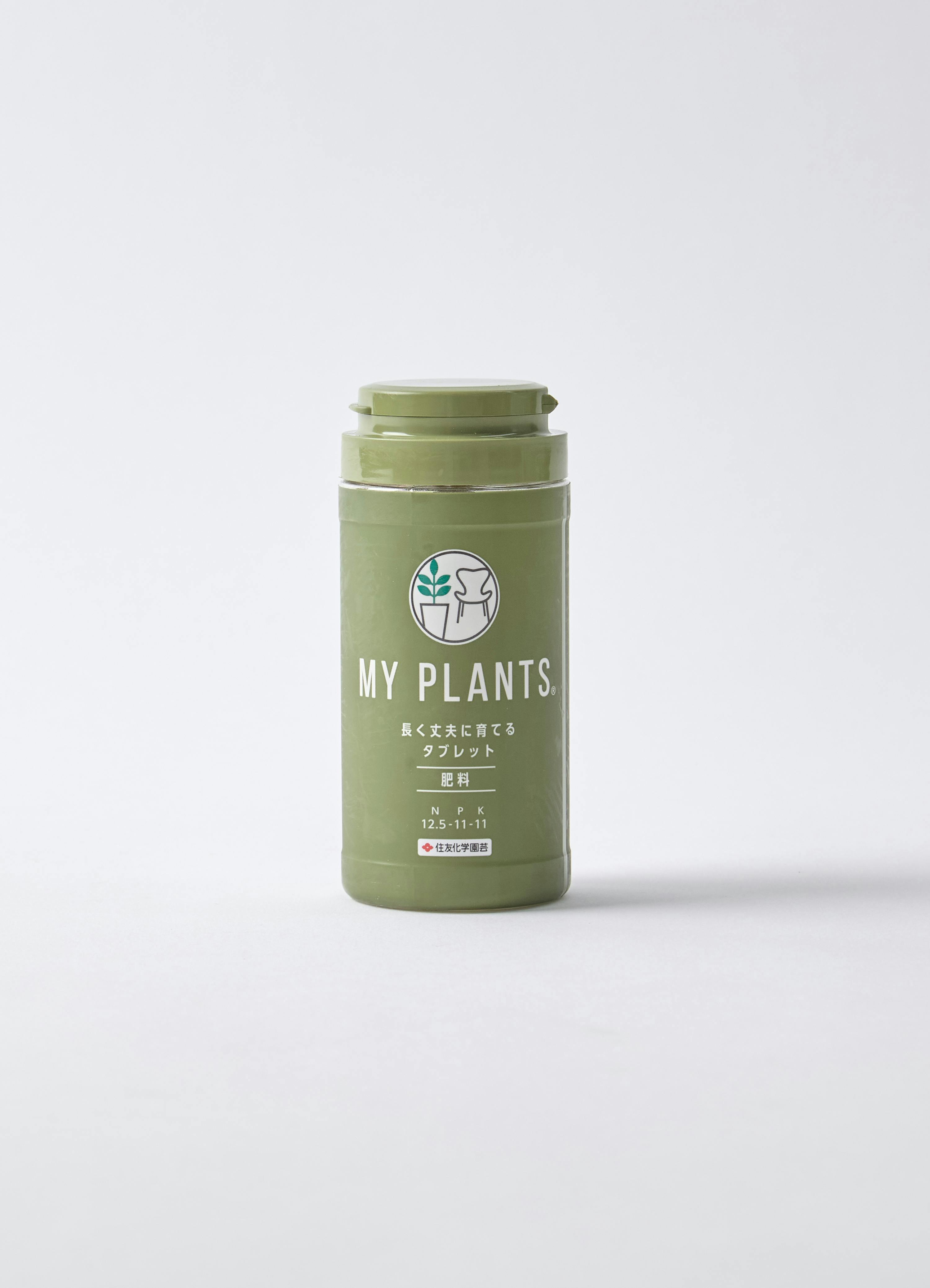 その他観葉植物 moomooo 観葉植物 おしゃれ 風水 アグラオネマ ピクタム 