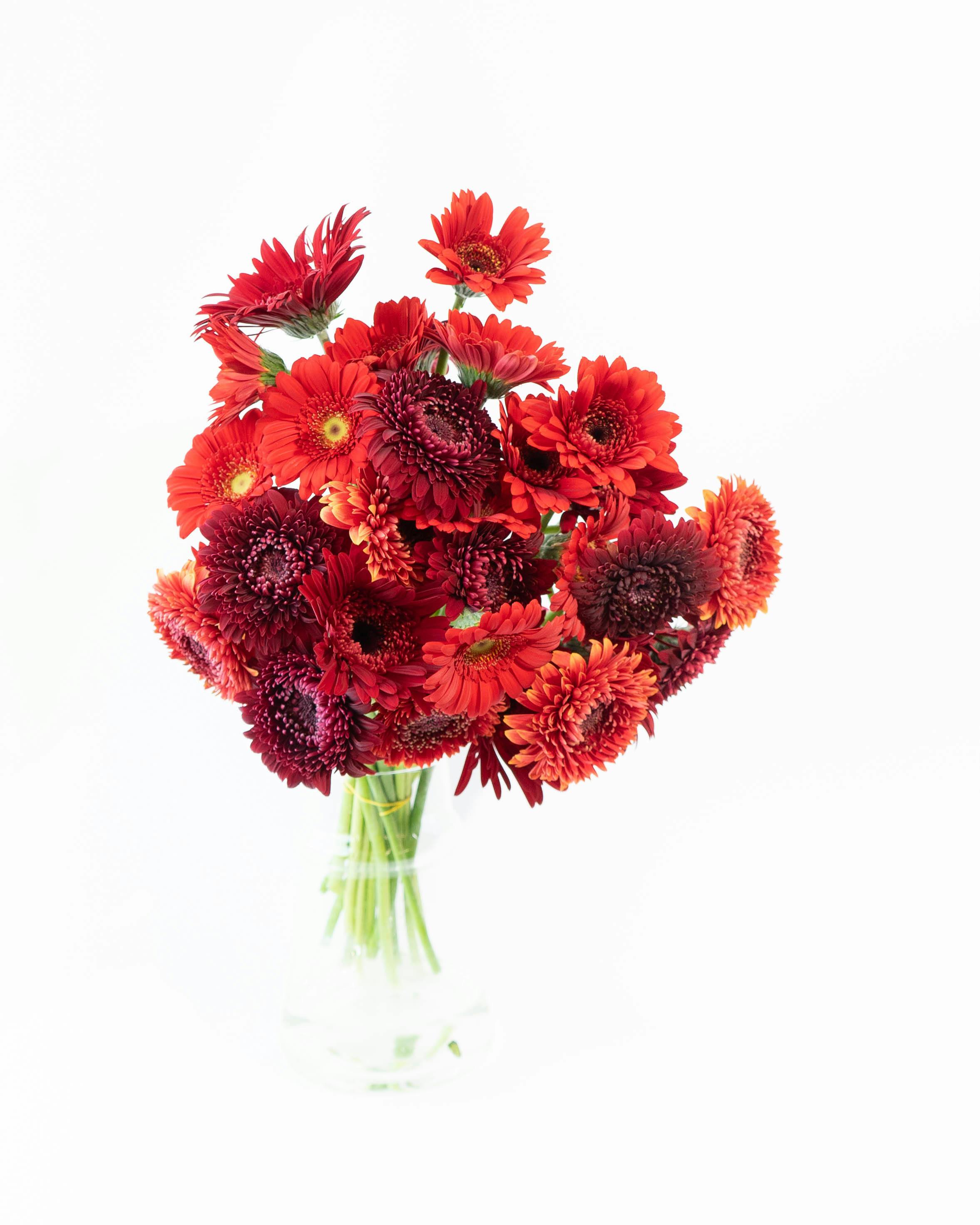 レッドガーベラ様　12点おまとめ レッドガーベラ様12点おまとめ