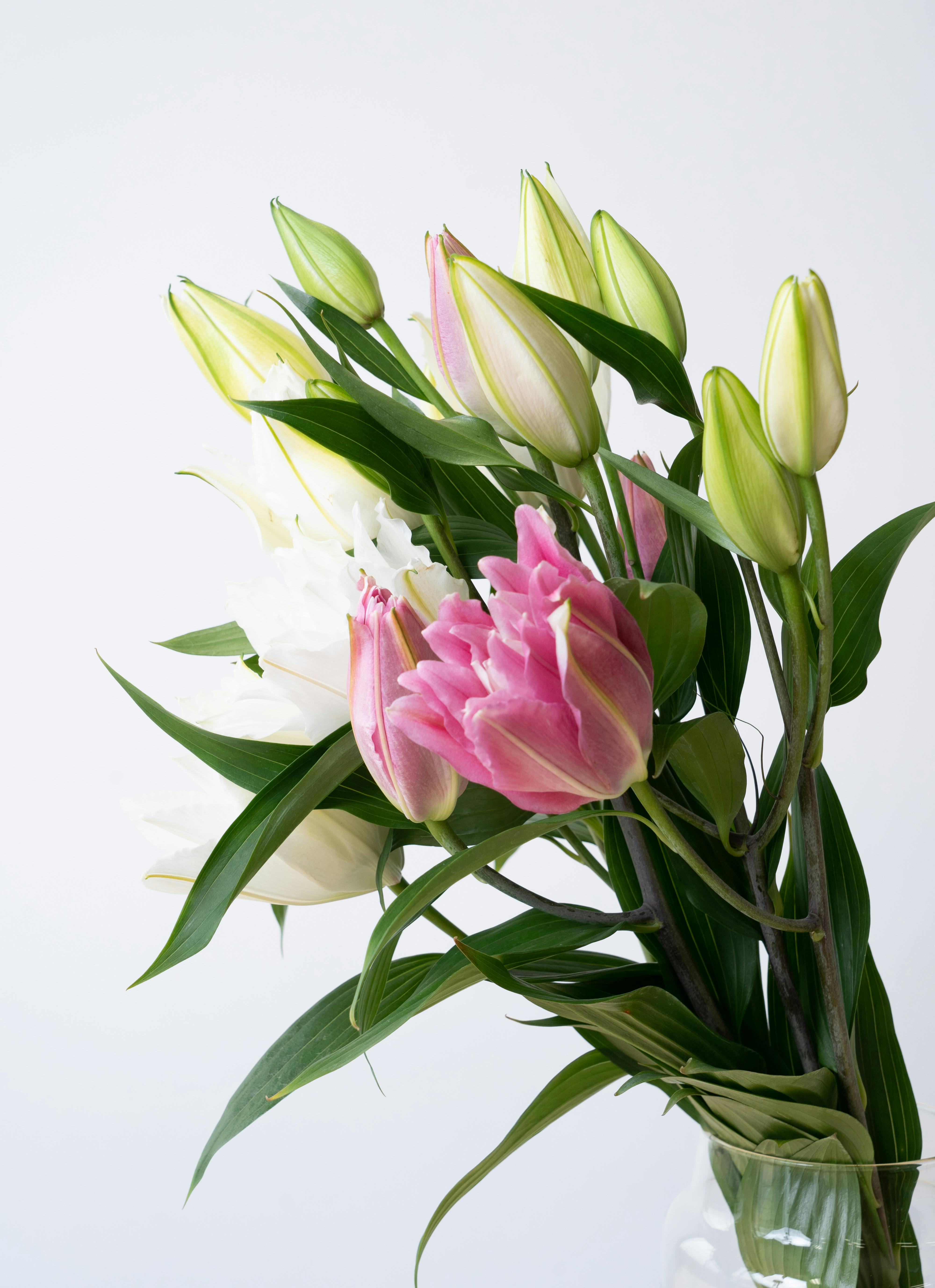 カメヤマ 線香（お香） 和遊 金木犀の香りと産地直送 オリエンタル