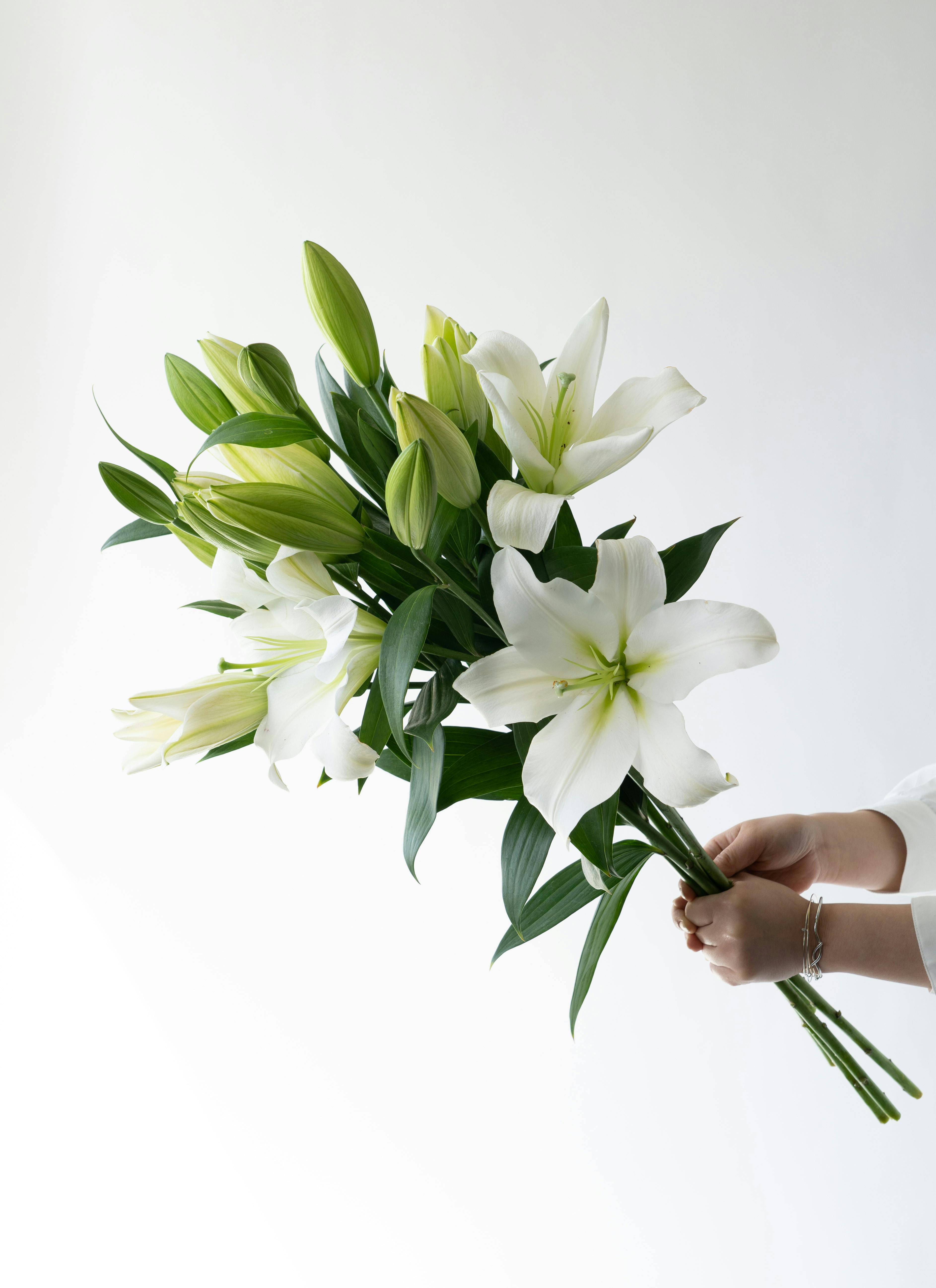 カメヤマ 線香（お香） 和遊 金木犀の香りと産地直送 オリエンタルユリ