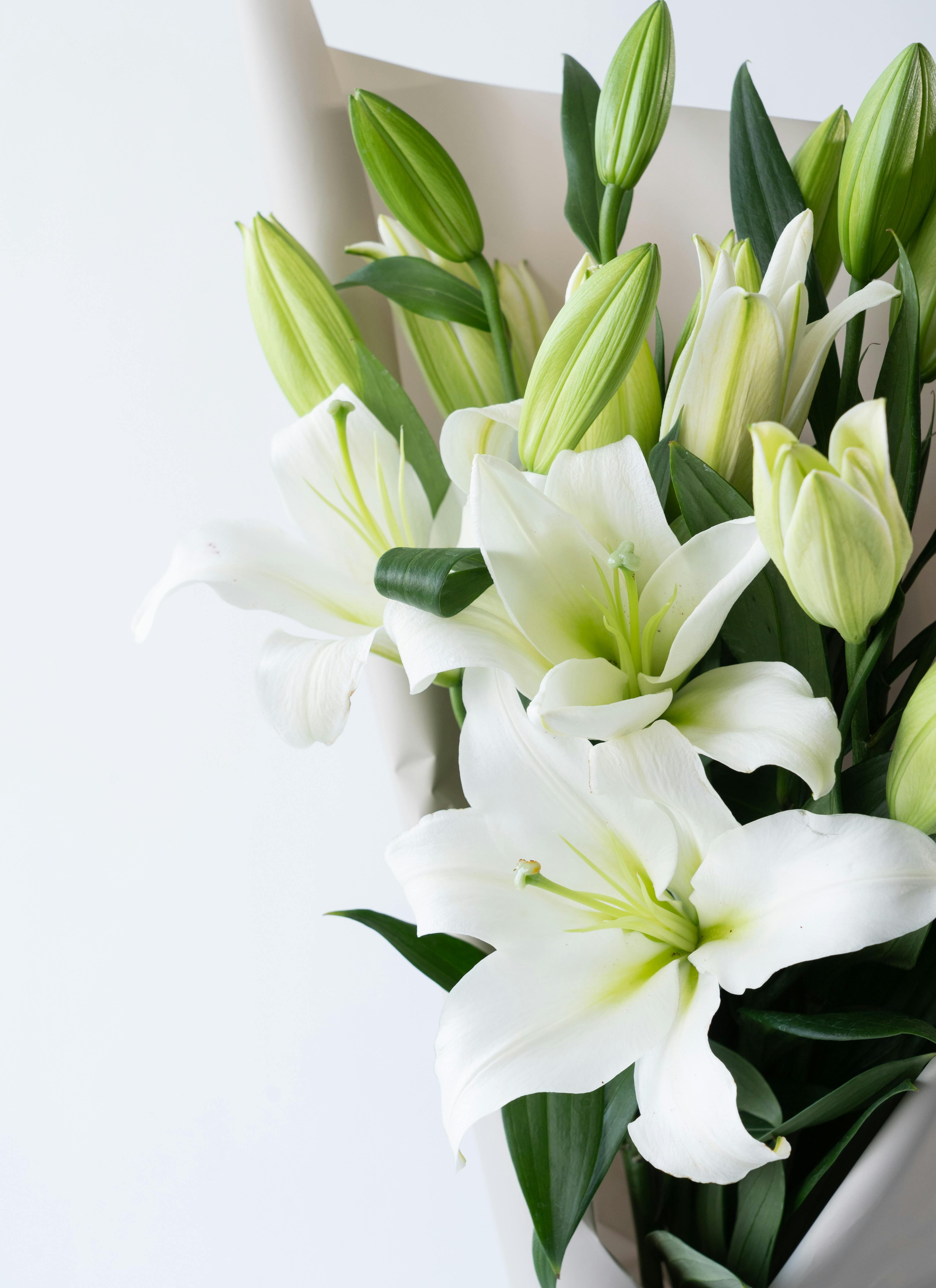 カメヤマ 線香（お香） 和遊 金木犀の香りと産地直送 オリエンタルユリ