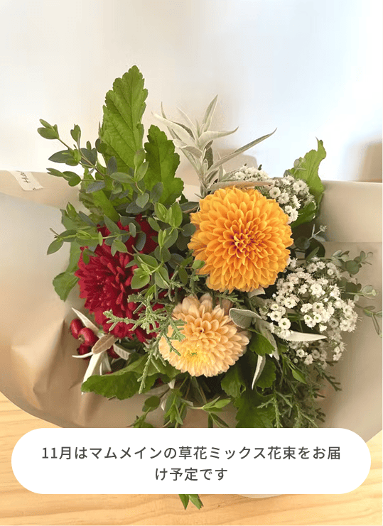 greenさま専用です。ボダイジュ蜜と菜の花蜜、さくらんぼ系2本 菜の花