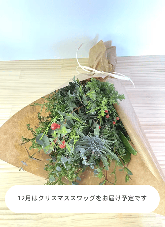 花農家直送！！クルクマ❀ご予約専用ページ❀商品説明必読！！です！！❀ 夏限定】花もち抜群!碧南市産「クルクマ」 カラフルブーケ 20本