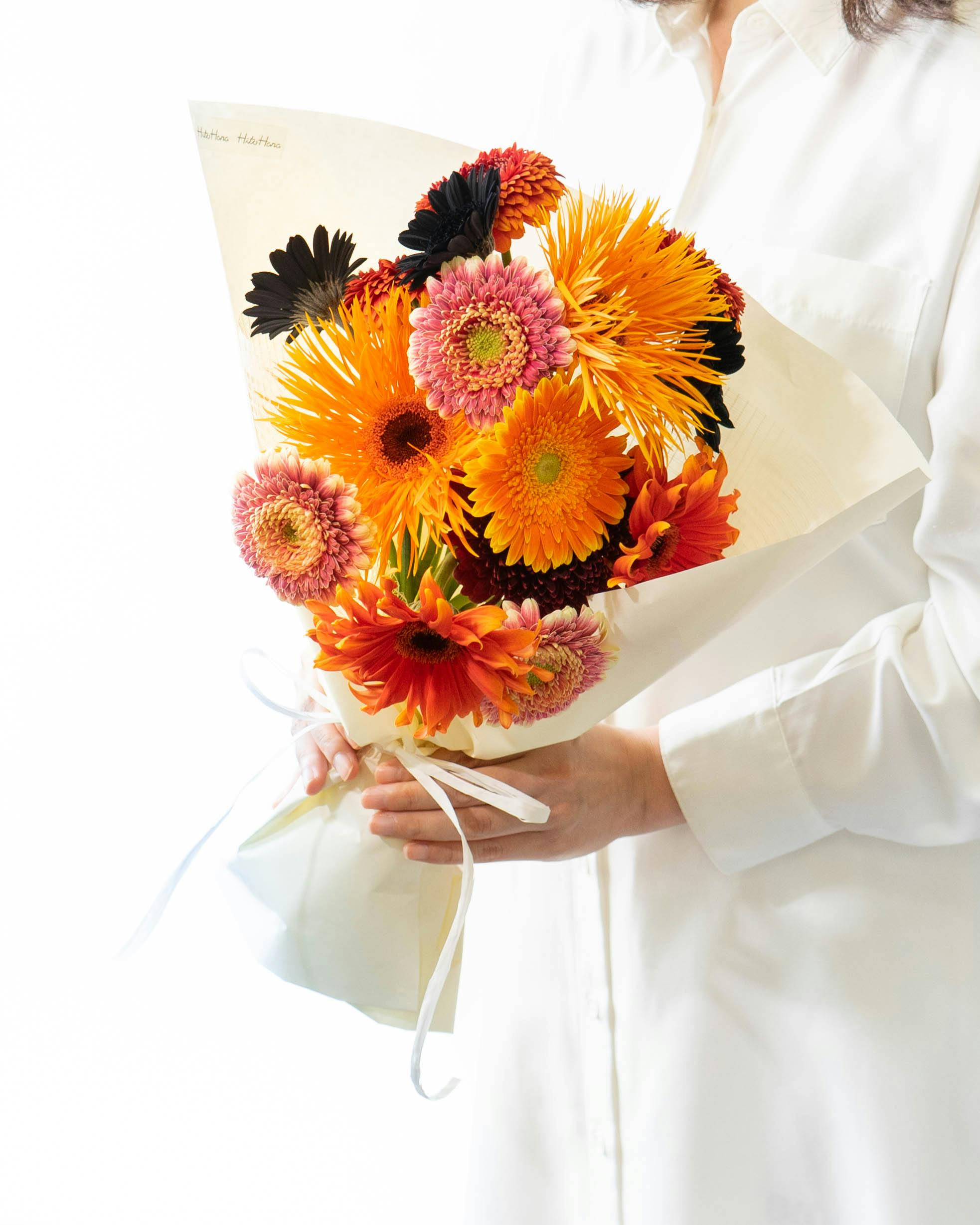 メキシコーラ　花芽付き ジェイダ GYDA アシンメトリーラインパディングチャンキー