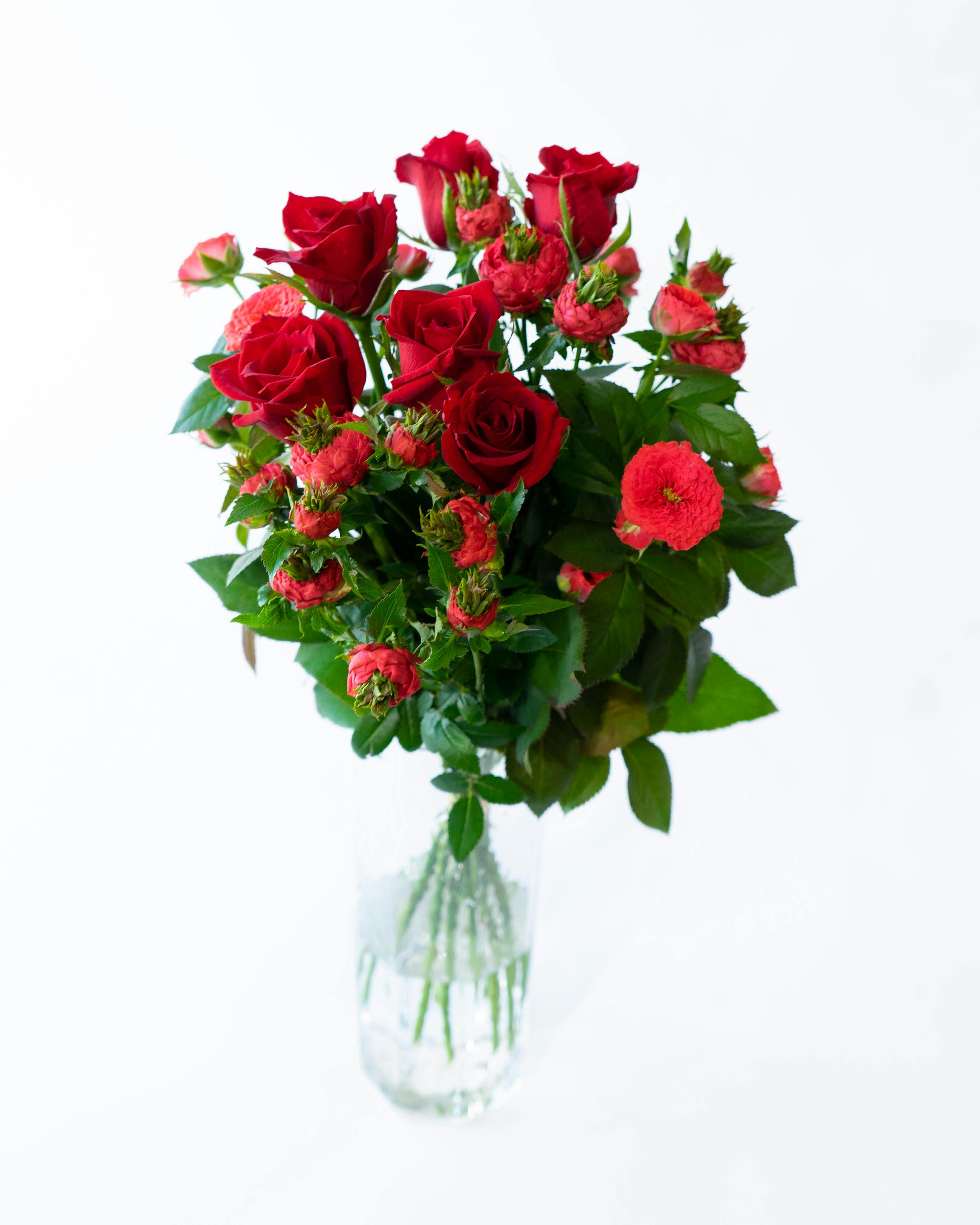 産地直送 バラ花束 レッド系ミックス（10本入り）／愛知 榊原薔薇園
