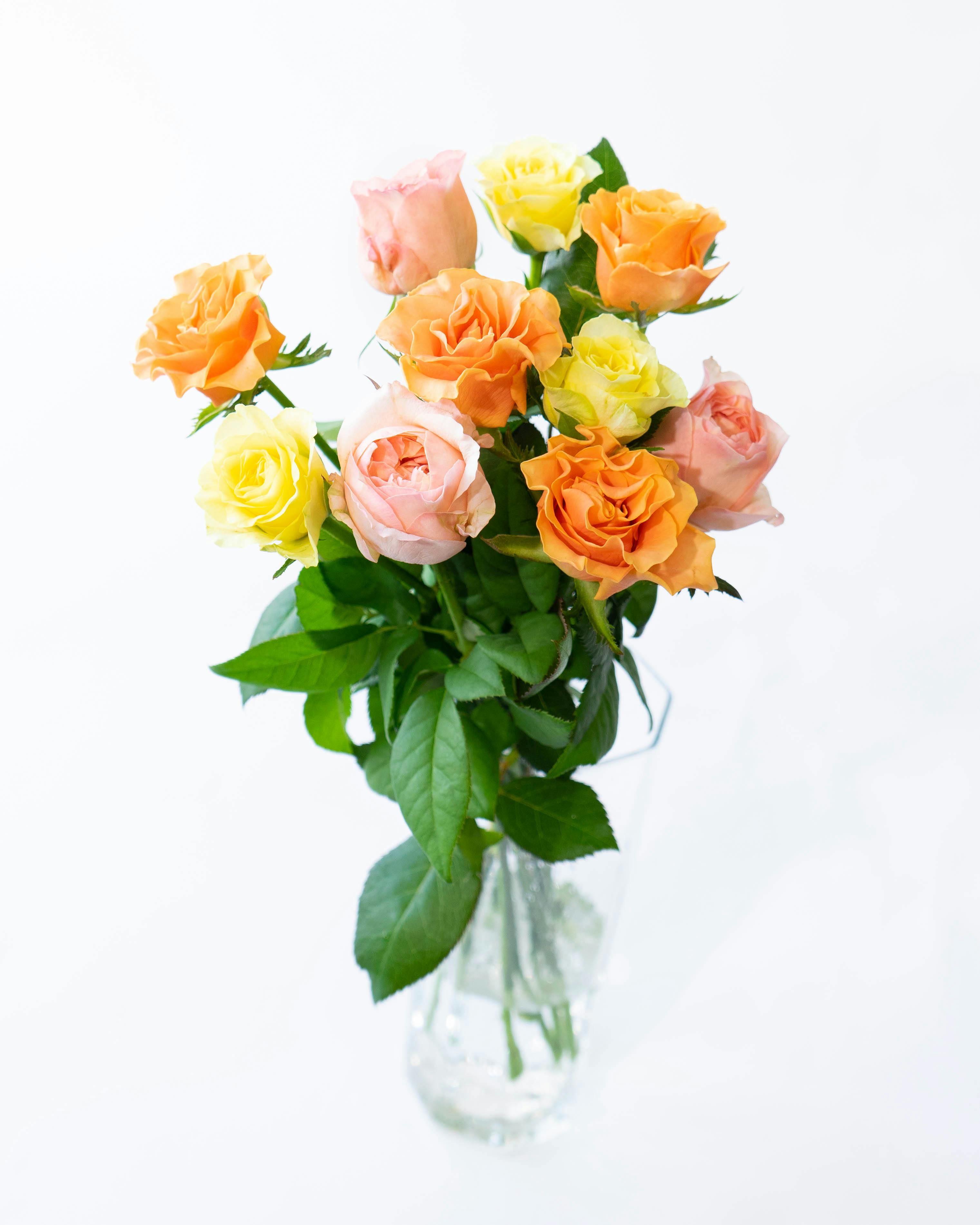 産地直送 バラ花束 オレンジ系ミックス（10本入り）／愛知 榊原薔薇園