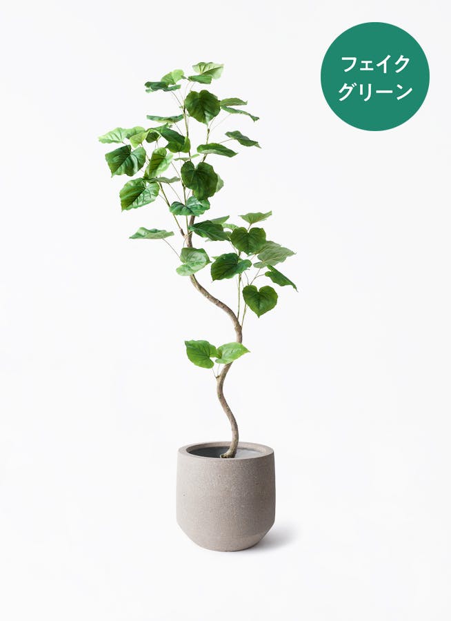観葉植物【フェイクグリーン】ウンベラータ 曲り 150cm パボ ミドル