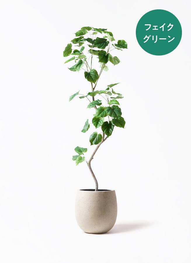 フェイクグリーン フィカス ウンベラータ | 通販専門店 HitoHana(ひと フェイクグリーン フィカス ウンベラータ | 通販専門店 HitoHana(ひと
