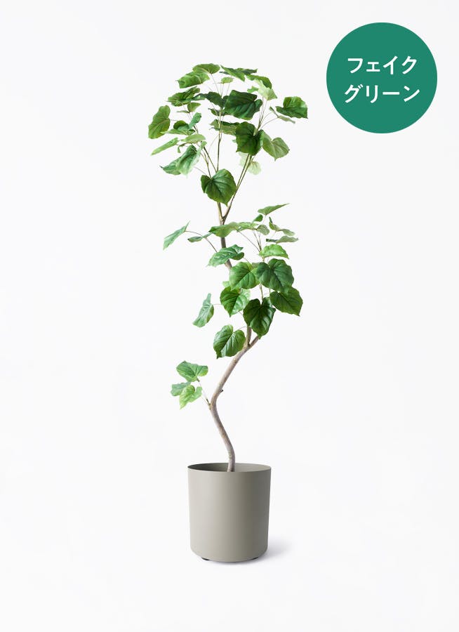 ウンベラータ 造花 フェイクグリーン フィカス 150cm fake-umberata-27_1.jpg
