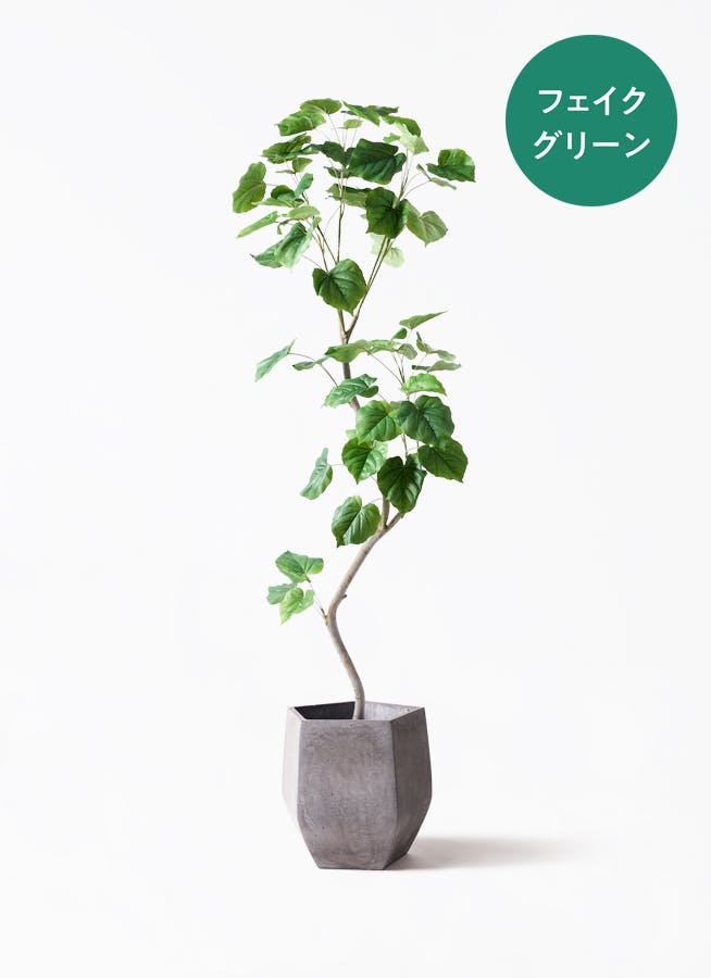 フェイクグリーン フィカス ウンベラータ | 通販専門店 HitoHana（ひと
