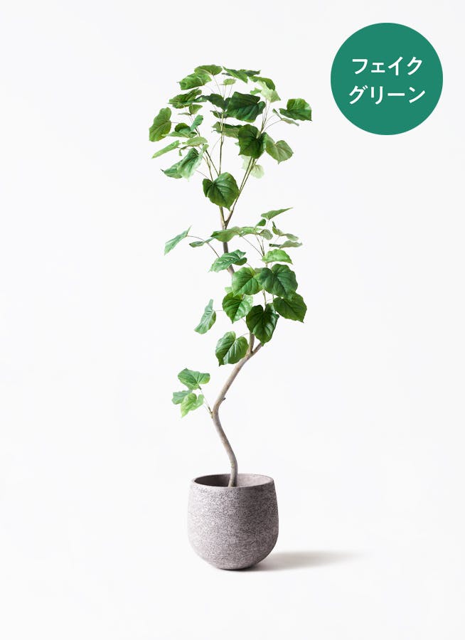 フェイクグリーン フィカス ウンベラータ | 通販専門店 HitoHana（ひと