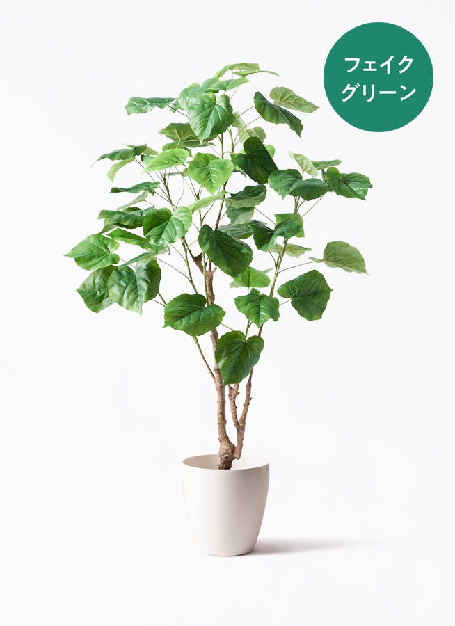 フェイクグリーン フィカス ウンベラータ | 通販専門店 HitoHana（ひと
