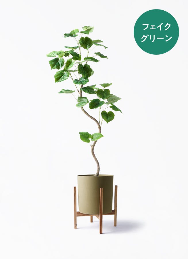 観葉植物【フェイクグリーン】ウンベラータ 曲り 150cm ホルスト