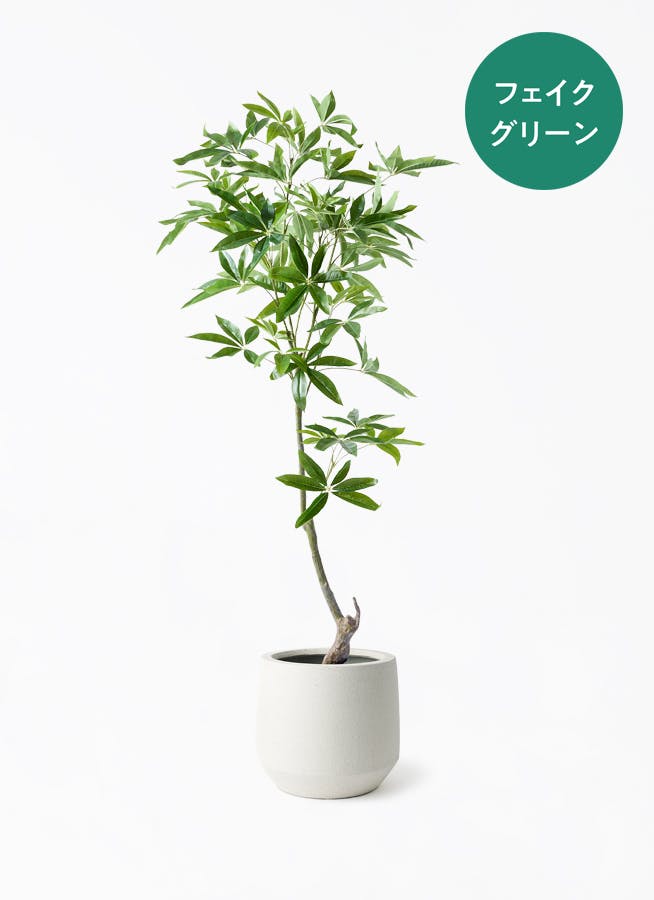 フェイクグリーン 150cm～ | 通販専門店 HitoHana（ひとはな）