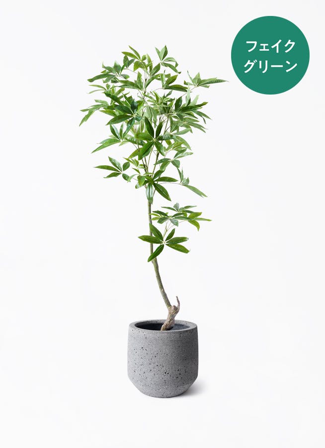 フェイクグリーン 150cm～ | 通販専門店 HitoHana（ひとはな）